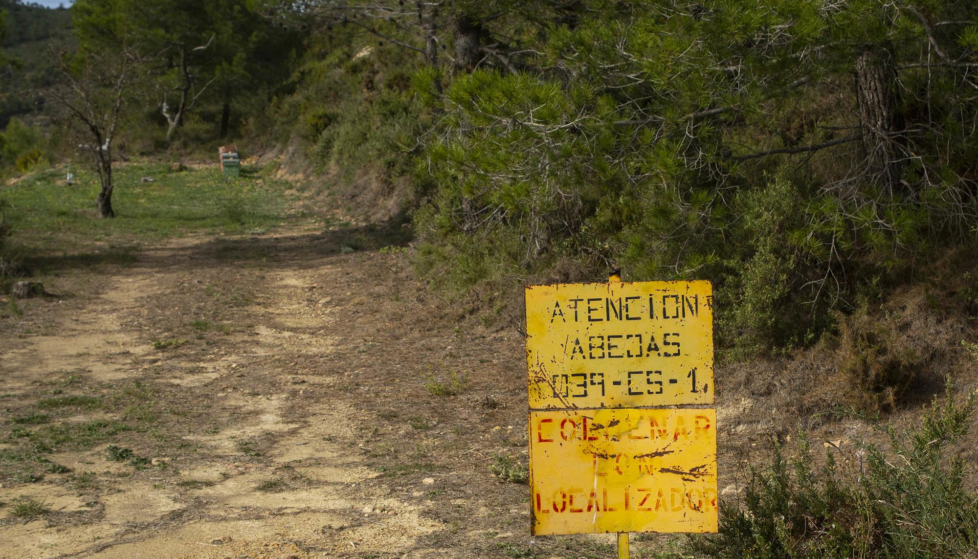 Apicultura Sierra de Espadan - 1