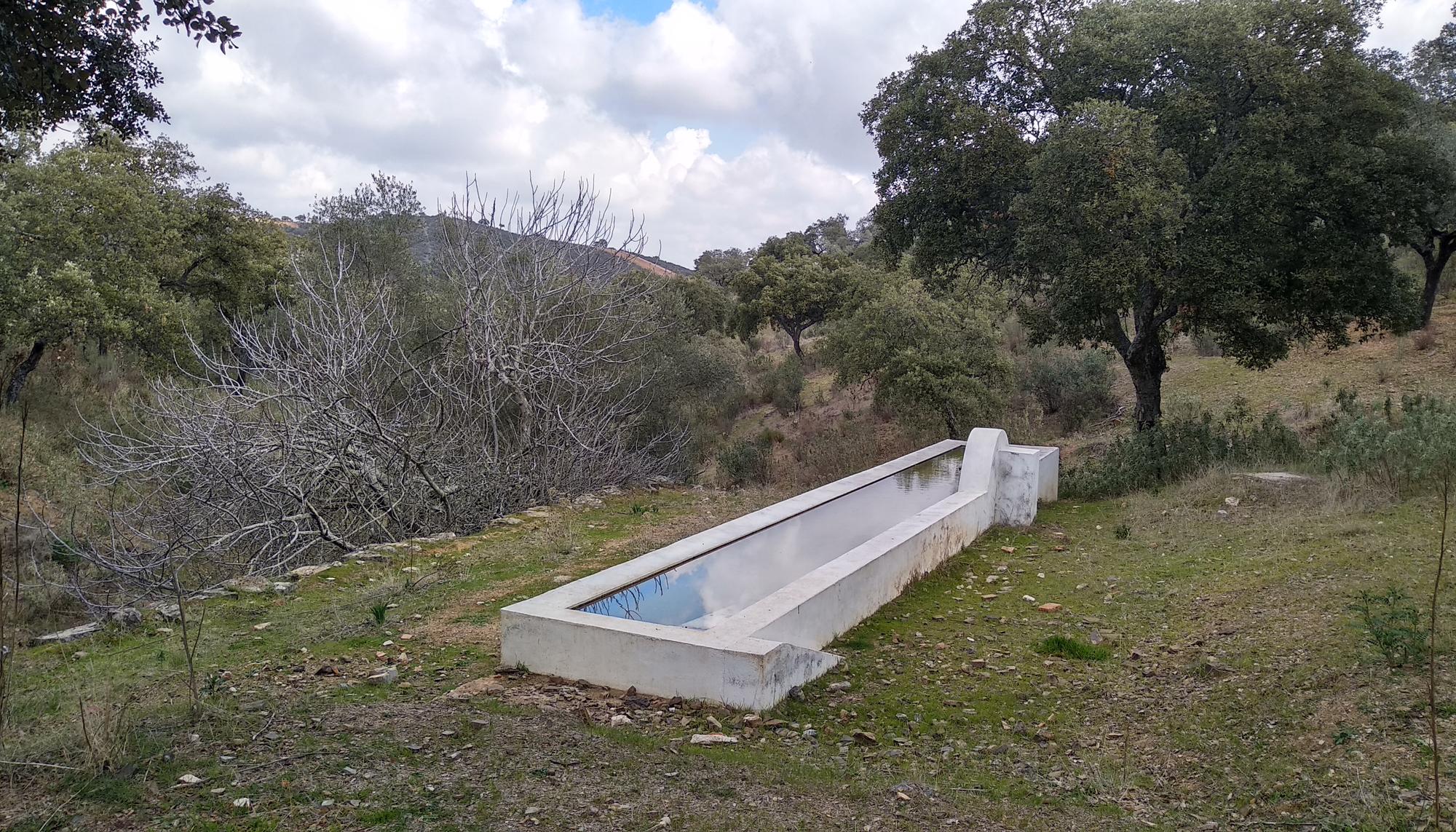 Abrevadero para ganado junto a la vereda del Salto de la Trocha en la Sierra Morena de Sevilla