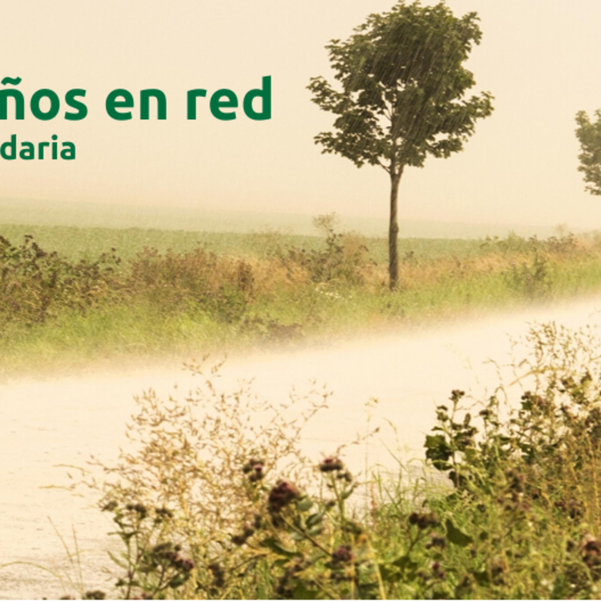 Cartel 25 aniversario REAS 2