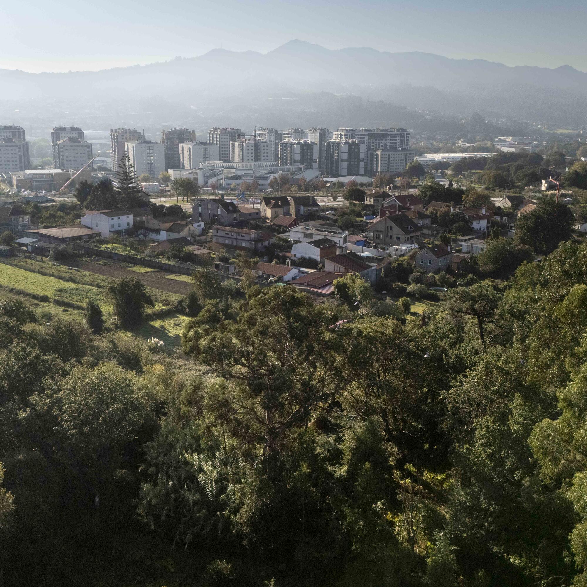 Carballeira da barroca - 5