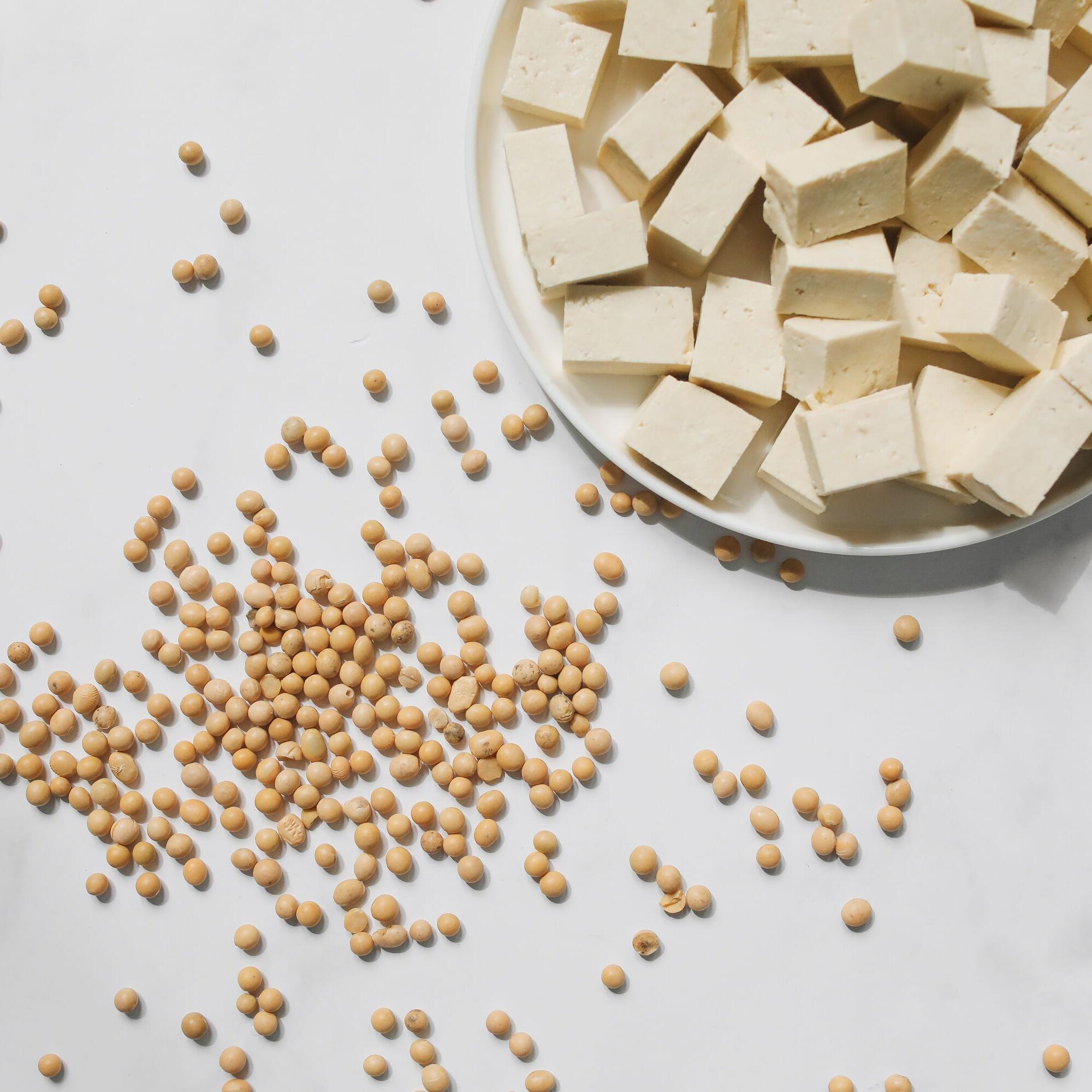 Tofu y soja