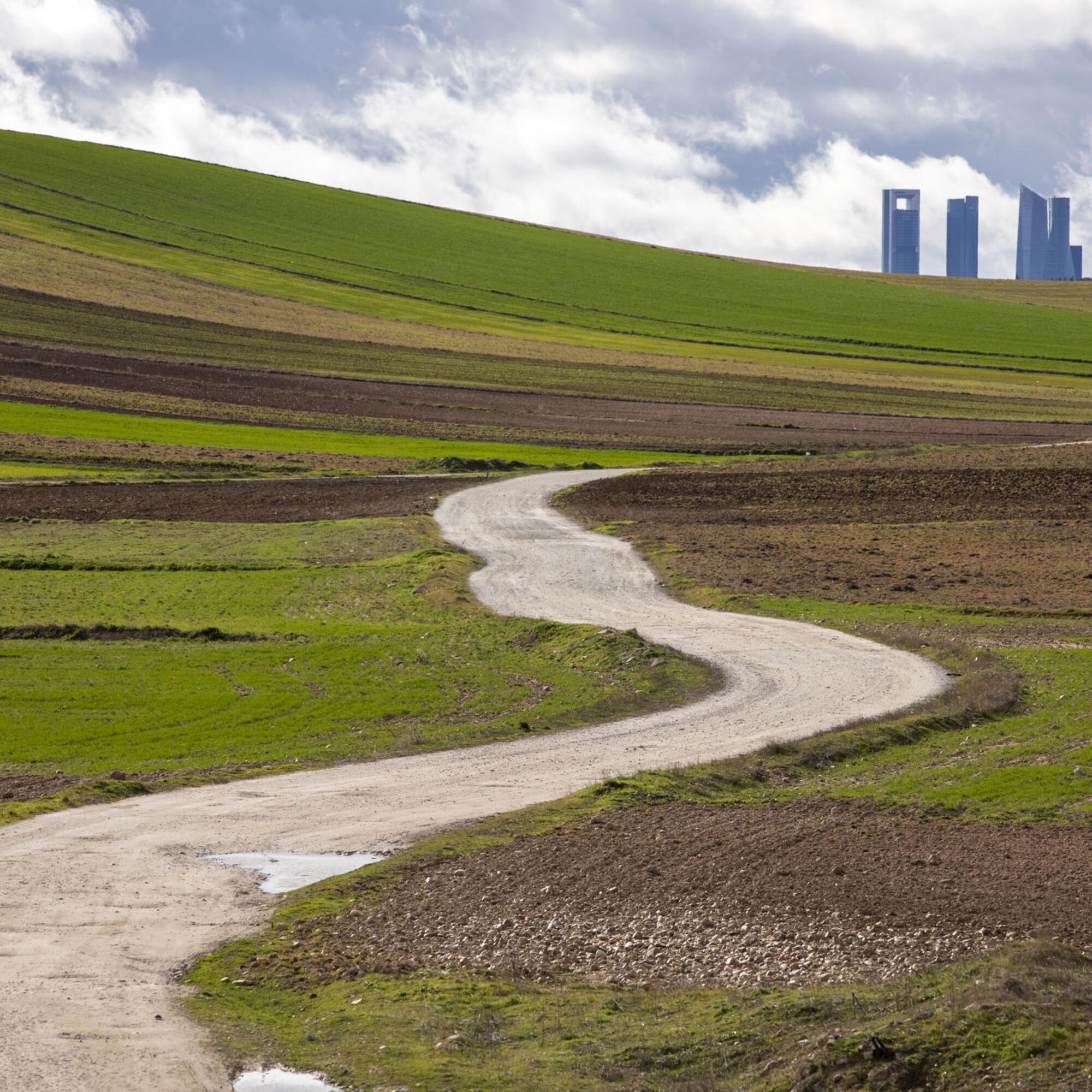 Vista Madrid 4 Torres desde el campo