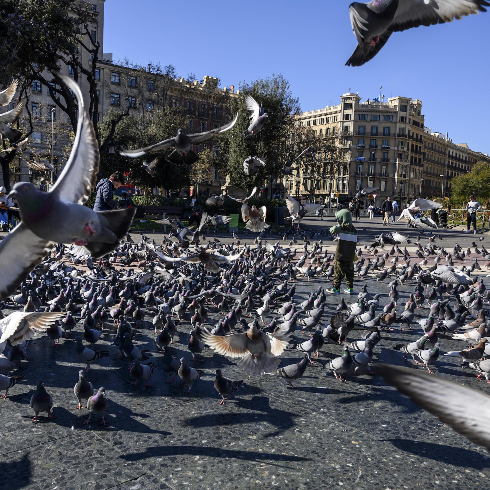 Barcelona - 1