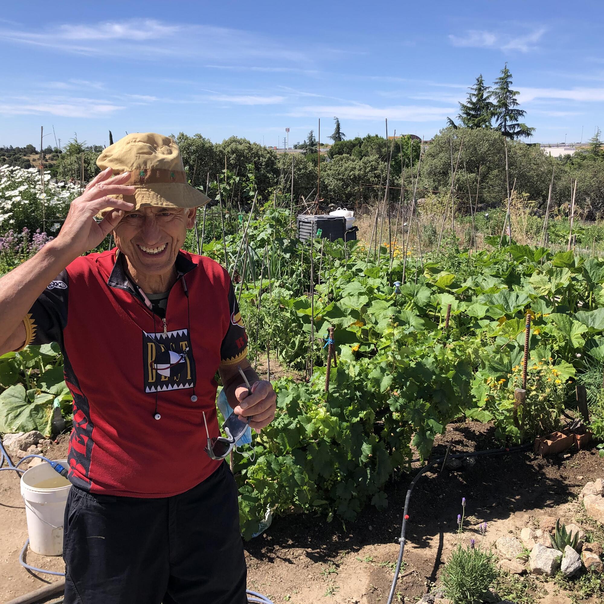 Los huertos de Torrelodones no son solo tierra
