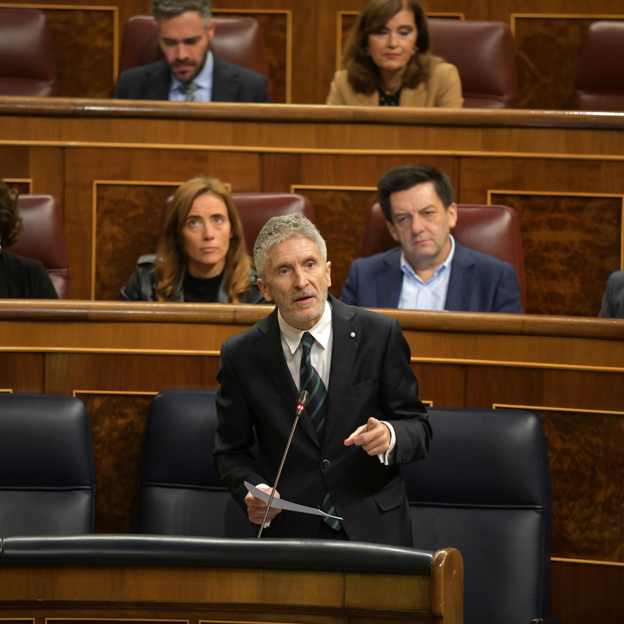 Fernando Grande-Marlaska