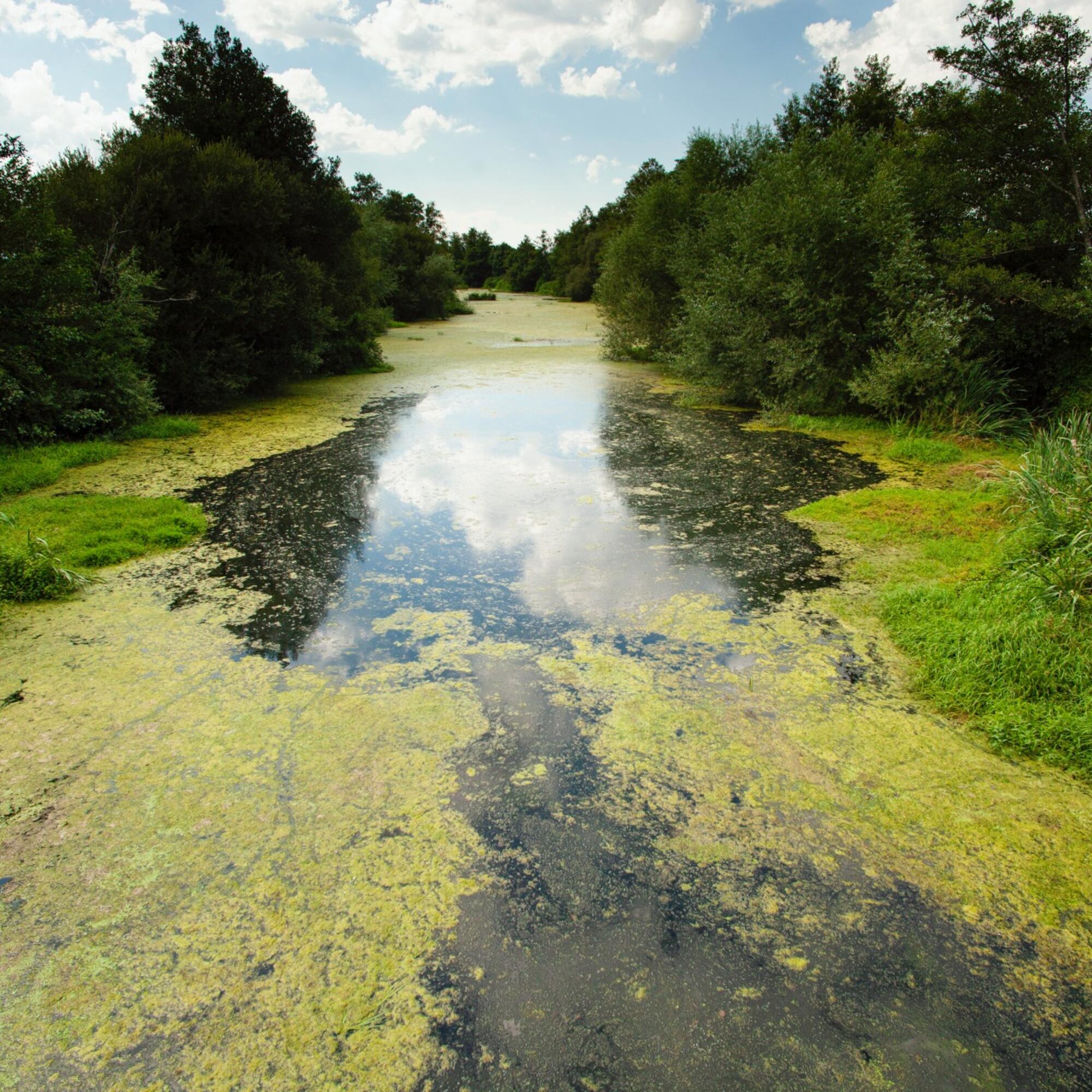 Encoro das Conchas 1