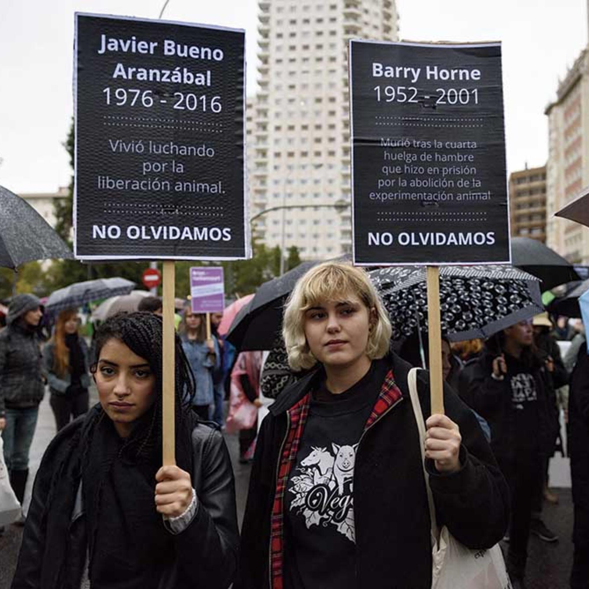 ¿Amantes de los animales?