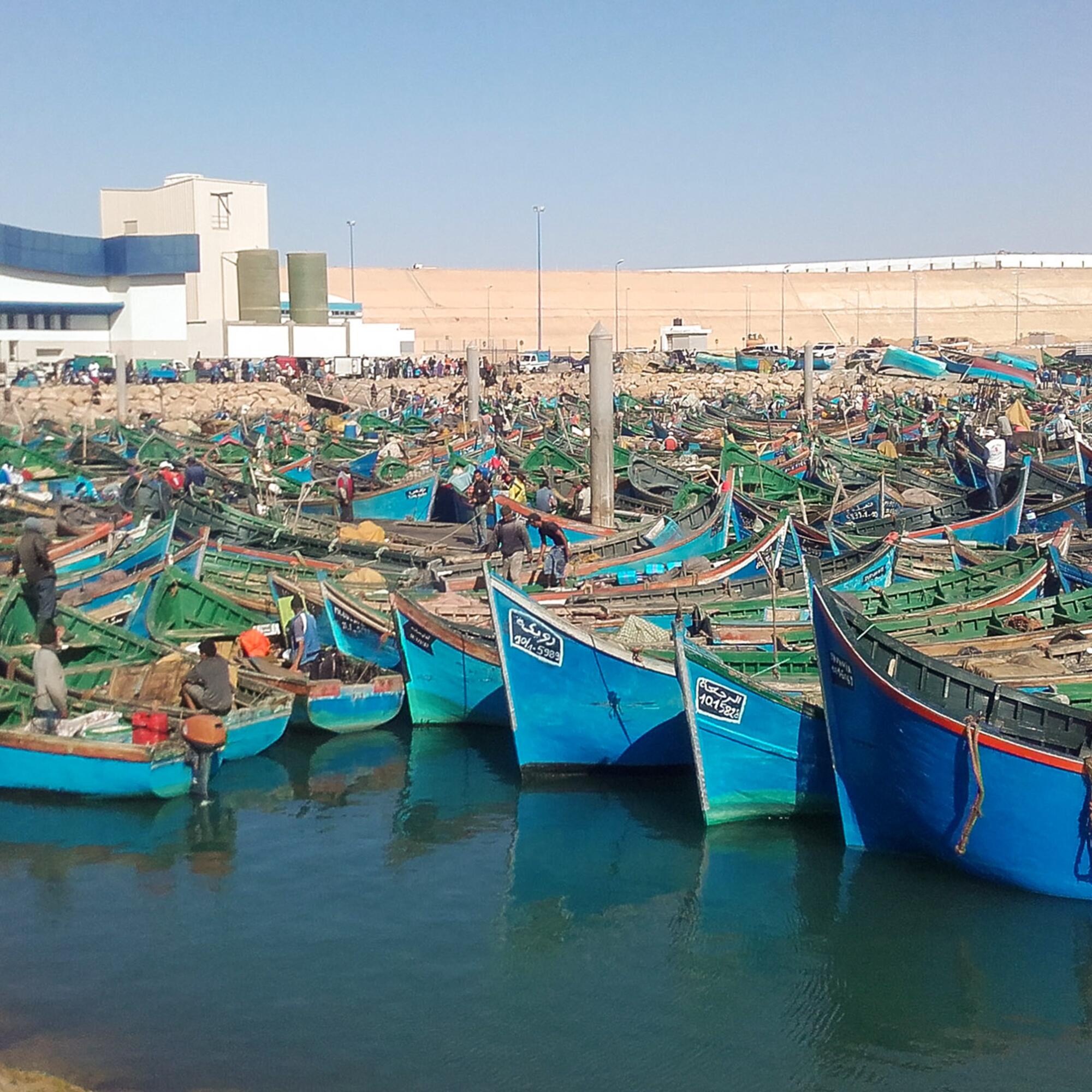 Pesca Sahara - 3