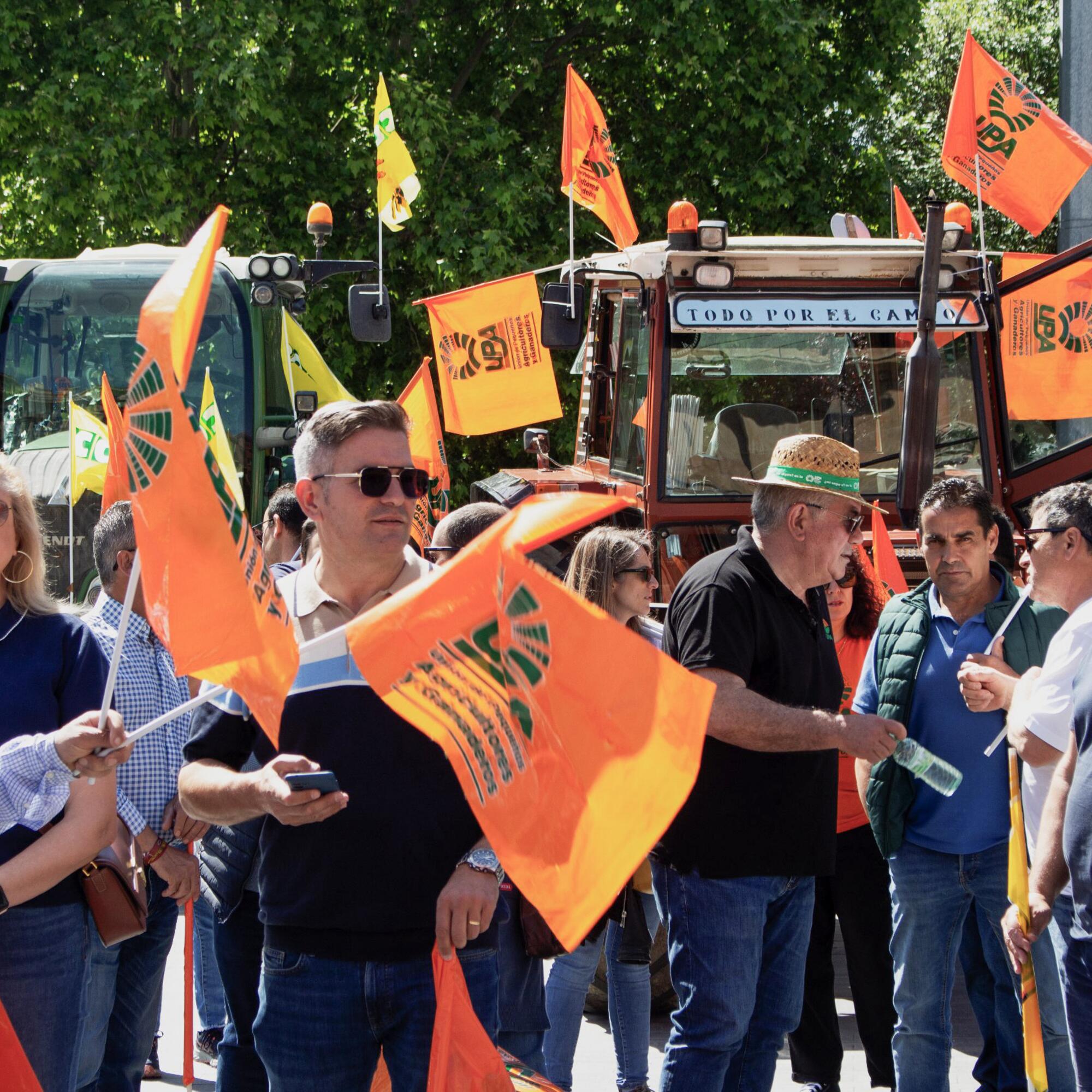 Manifestación Valladolid