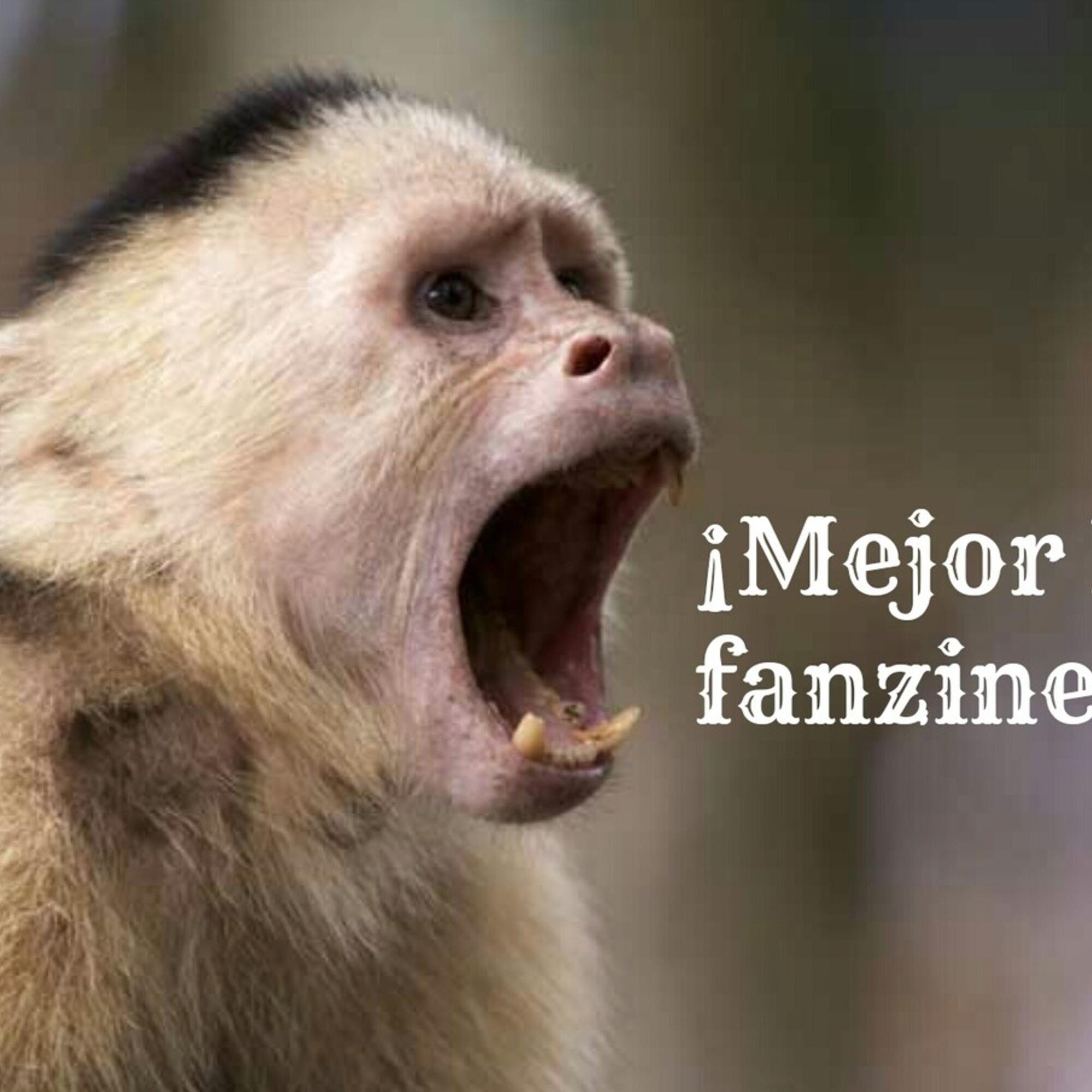 mejor lee fanzines