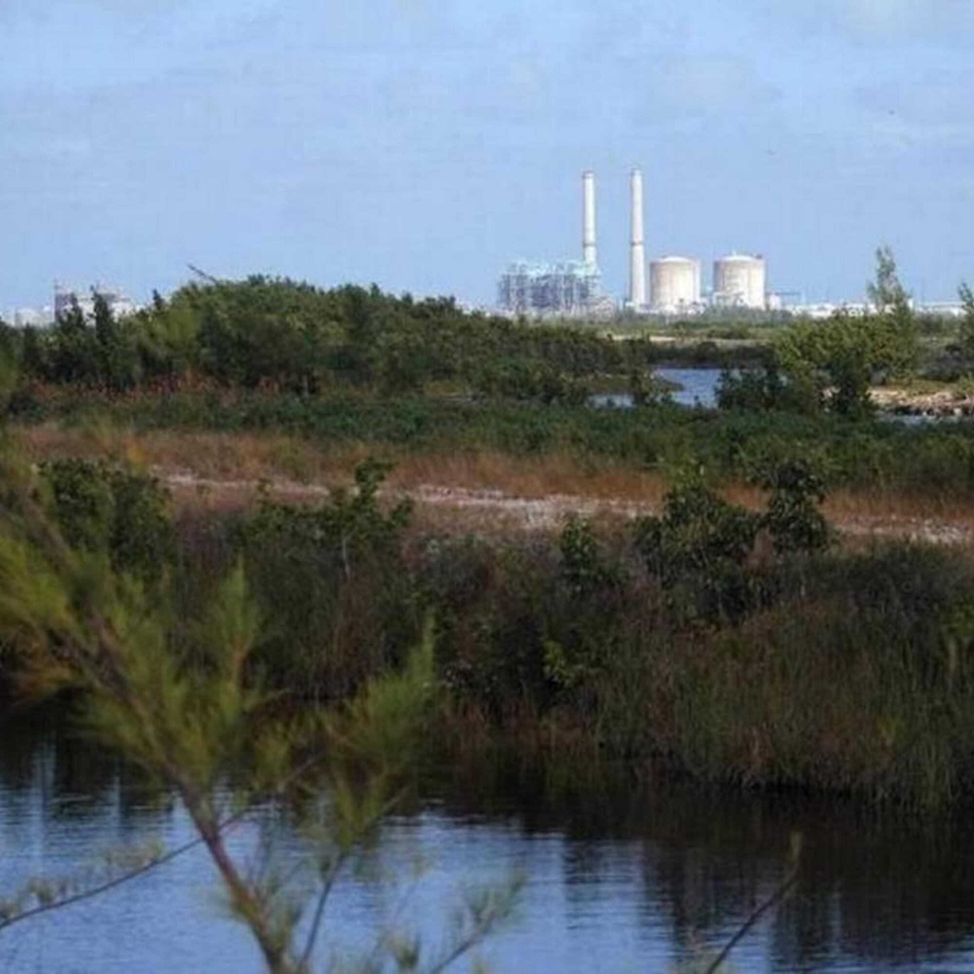 Central nuclear Turkey Point en Florida. Fuente: Miami Herald.