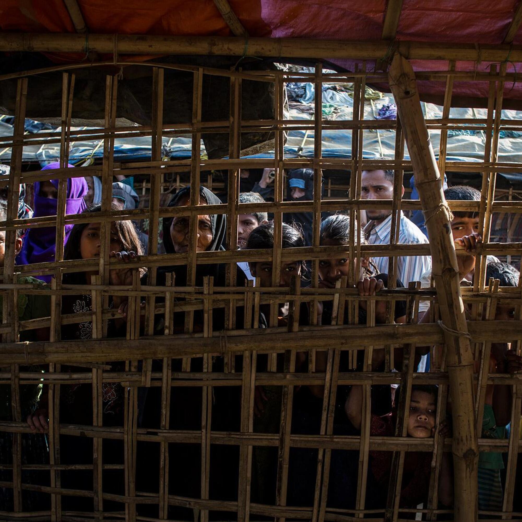 rohingyas regufiados