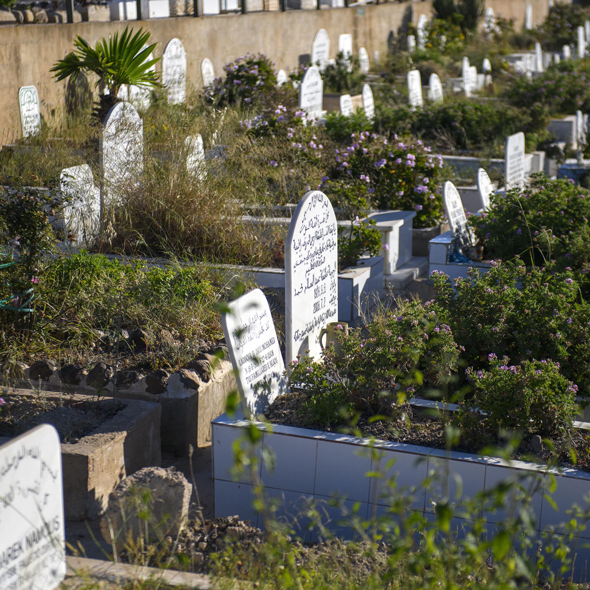 Cementerio Melilla - 1