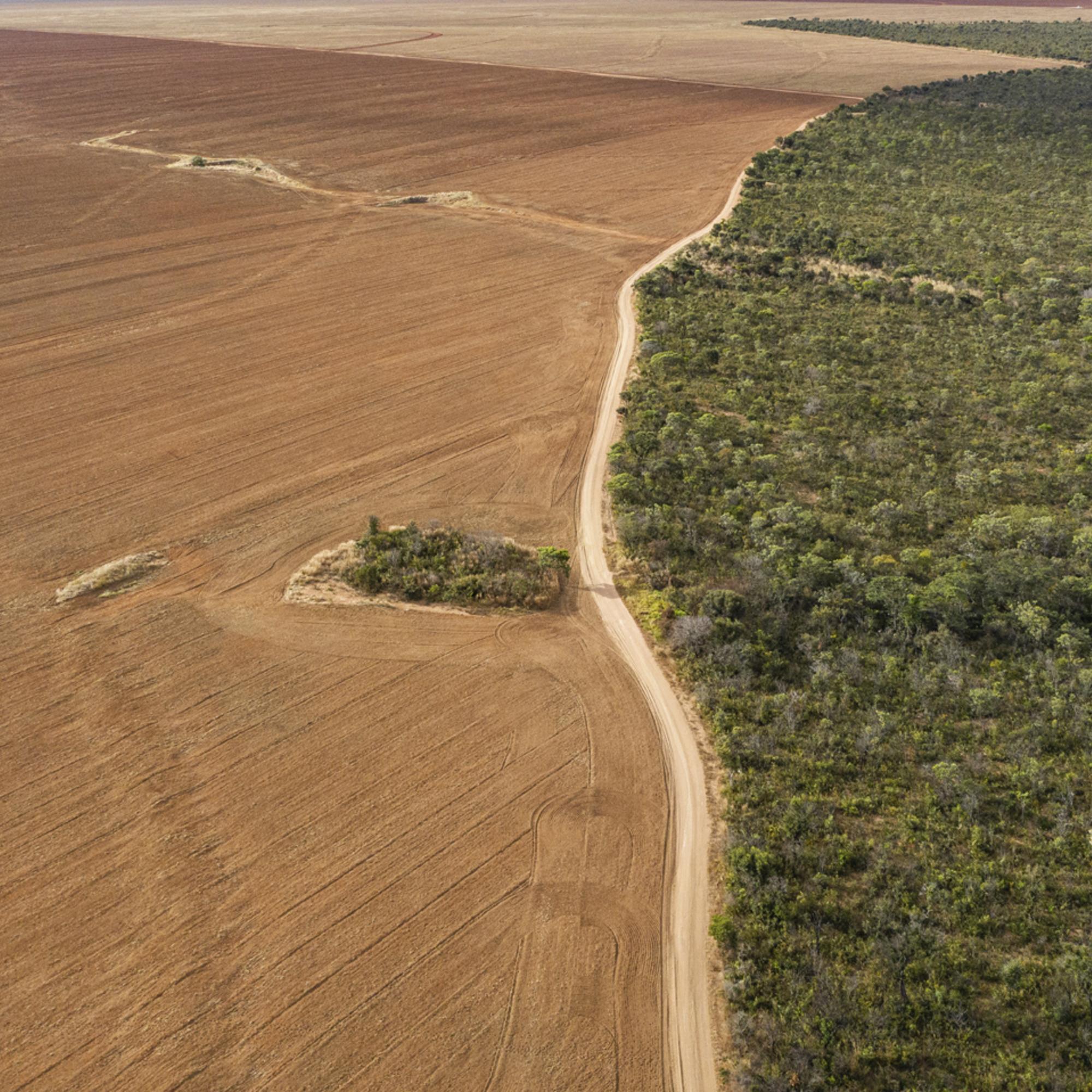 deforestacion brsail frontera