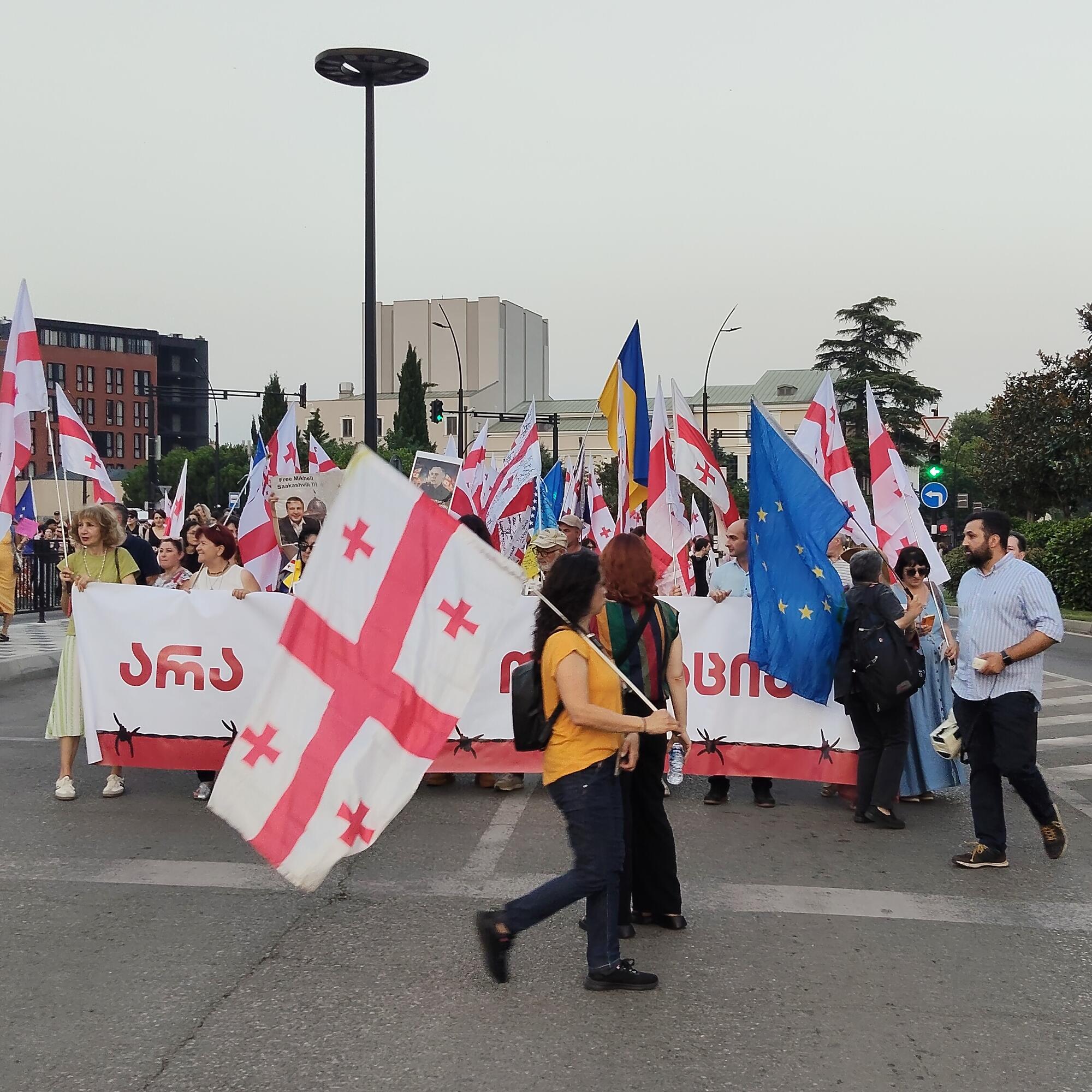 Georgia protestas