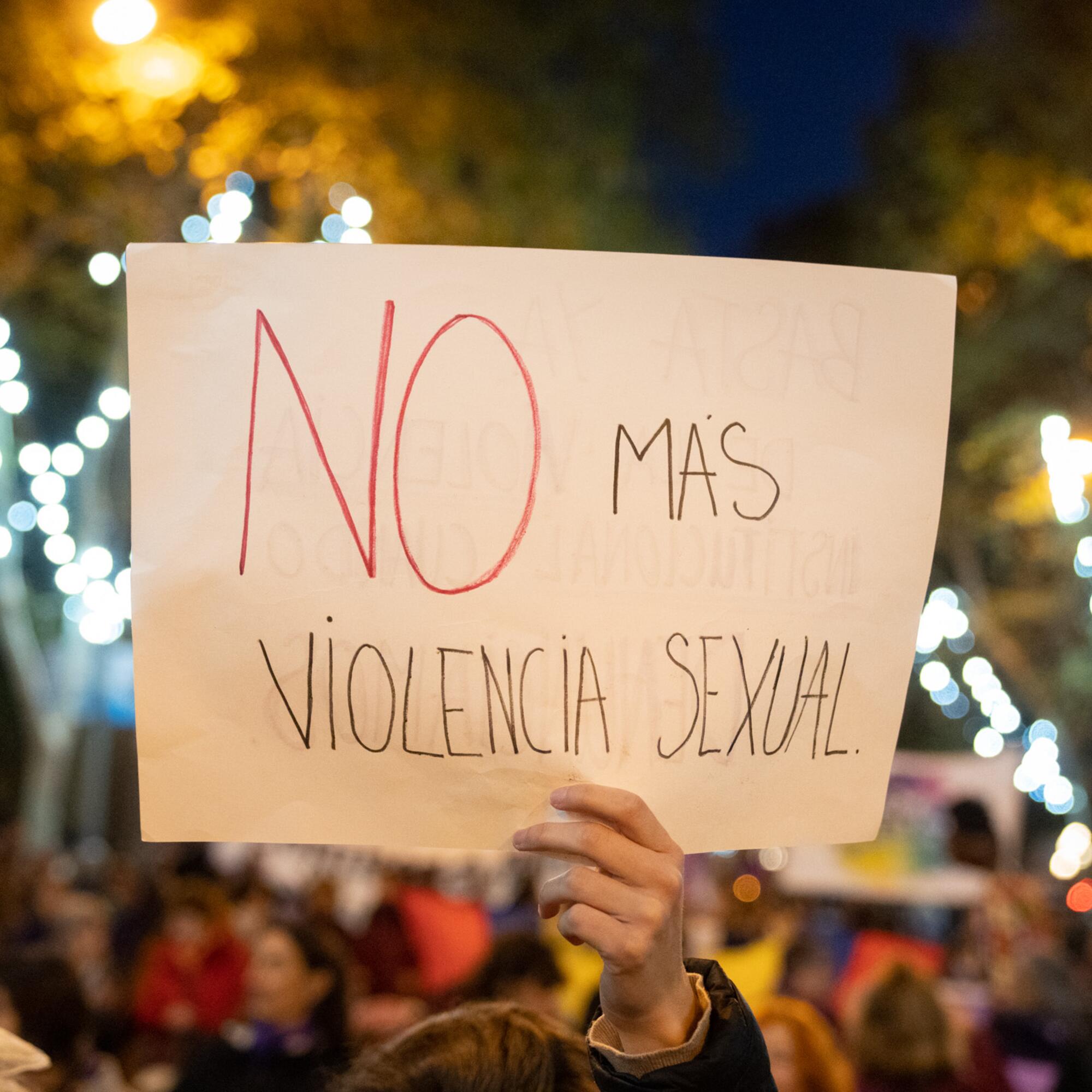 Manifestacion25N23 - 13