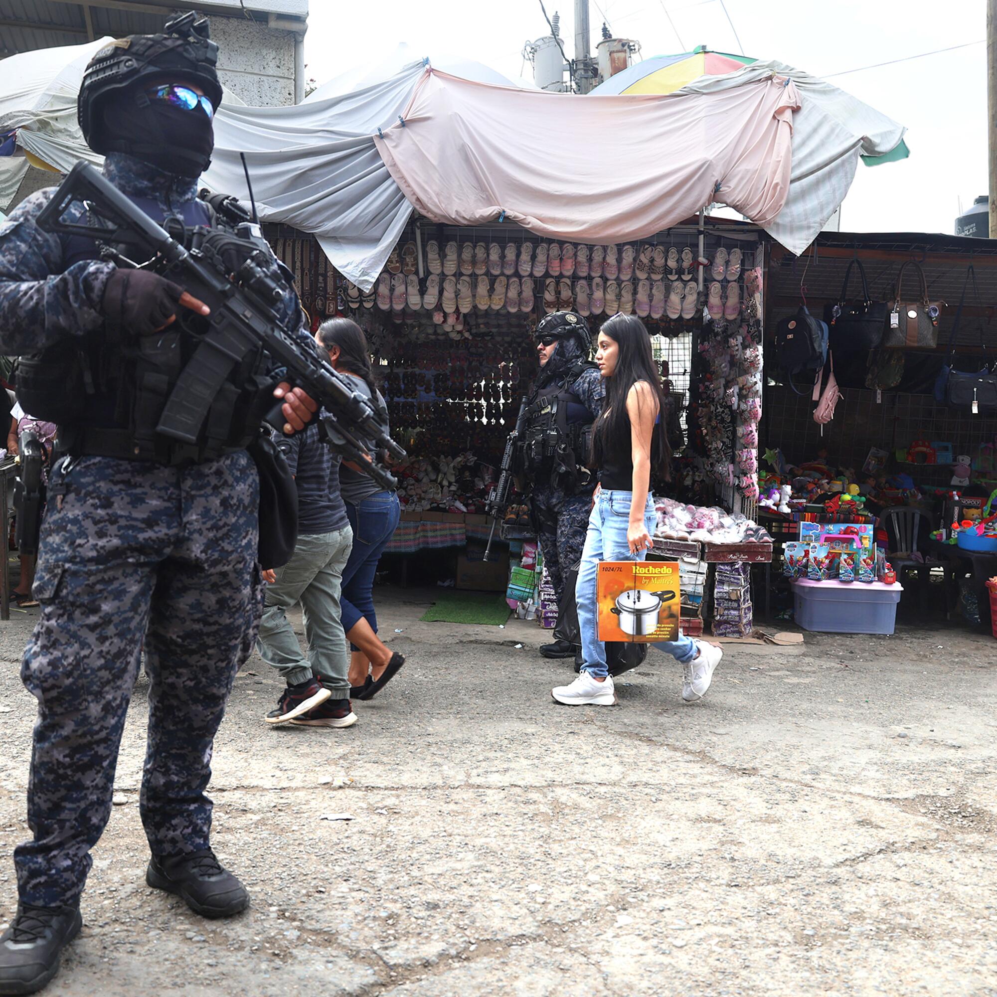 En Chiapas se ha instaurado un nuevo cuerpo de seguridad: la Fuerza de Reacción Inmediata Pakal (FRIP), también conocida como “los Pakales”.