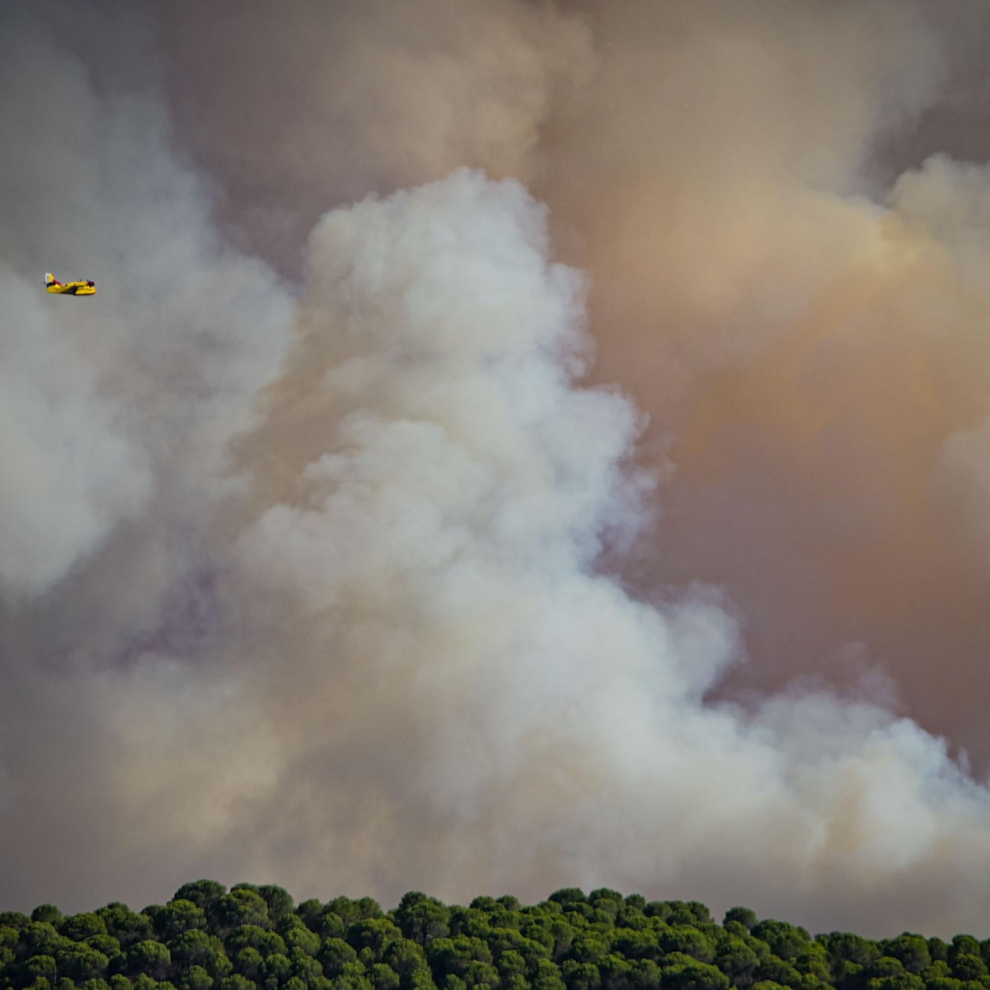 Incendio Niebla Huelva - 8