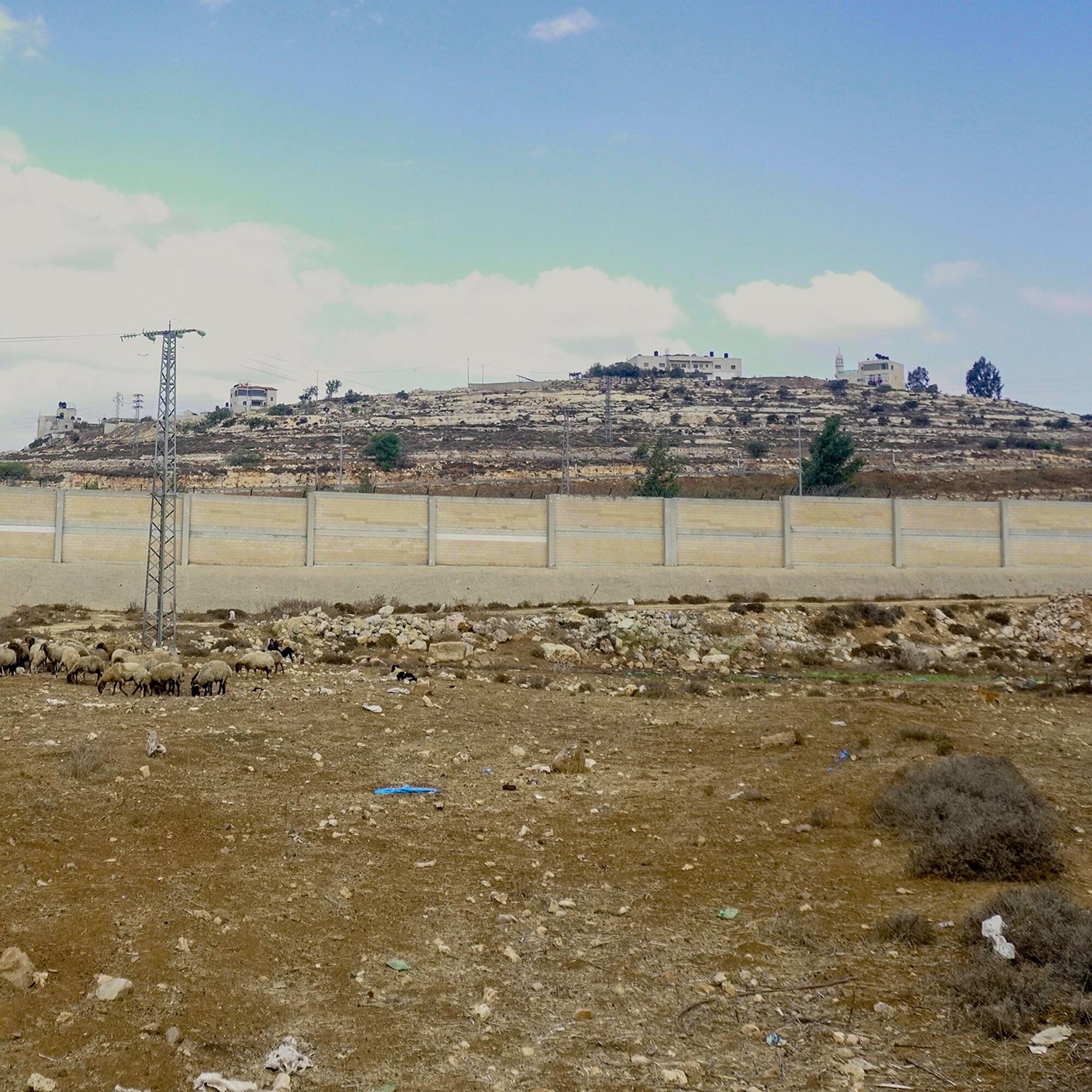 Cisjordania Bir Nabala muro - 2