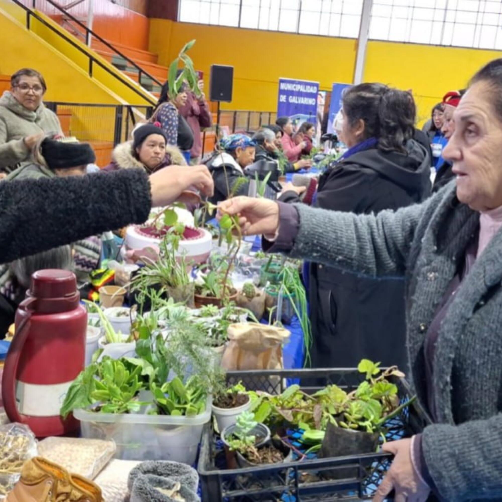 Primer Intercomunal Trafkintu en la municipalidad de Galvarino IX Regio (Autoría:  Red de Economías Territoriales Wallmapu, Chile)
