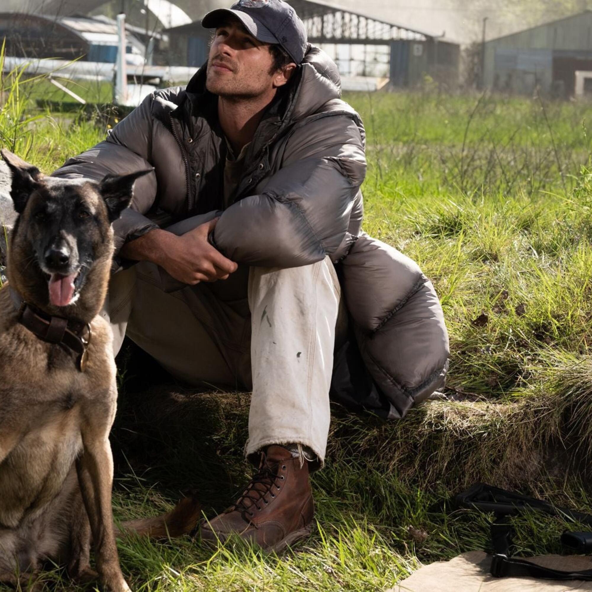 The Dog Stars
