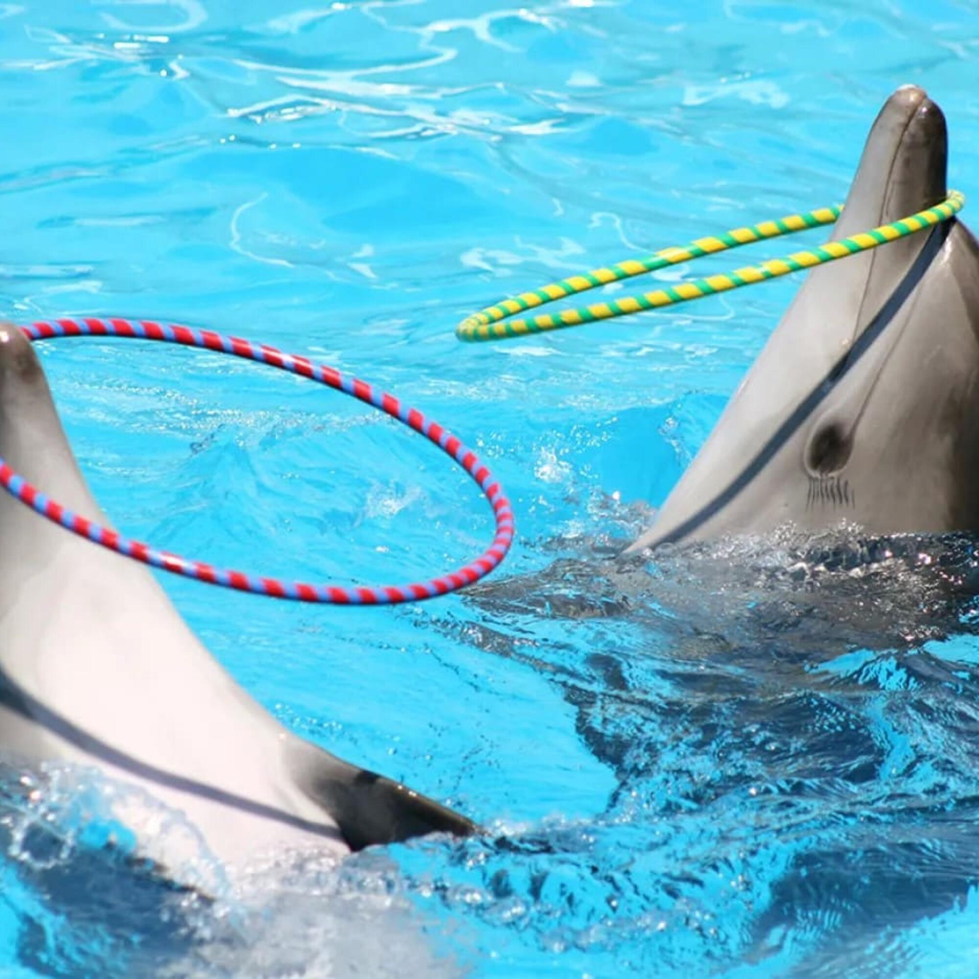 Delfines en acuario