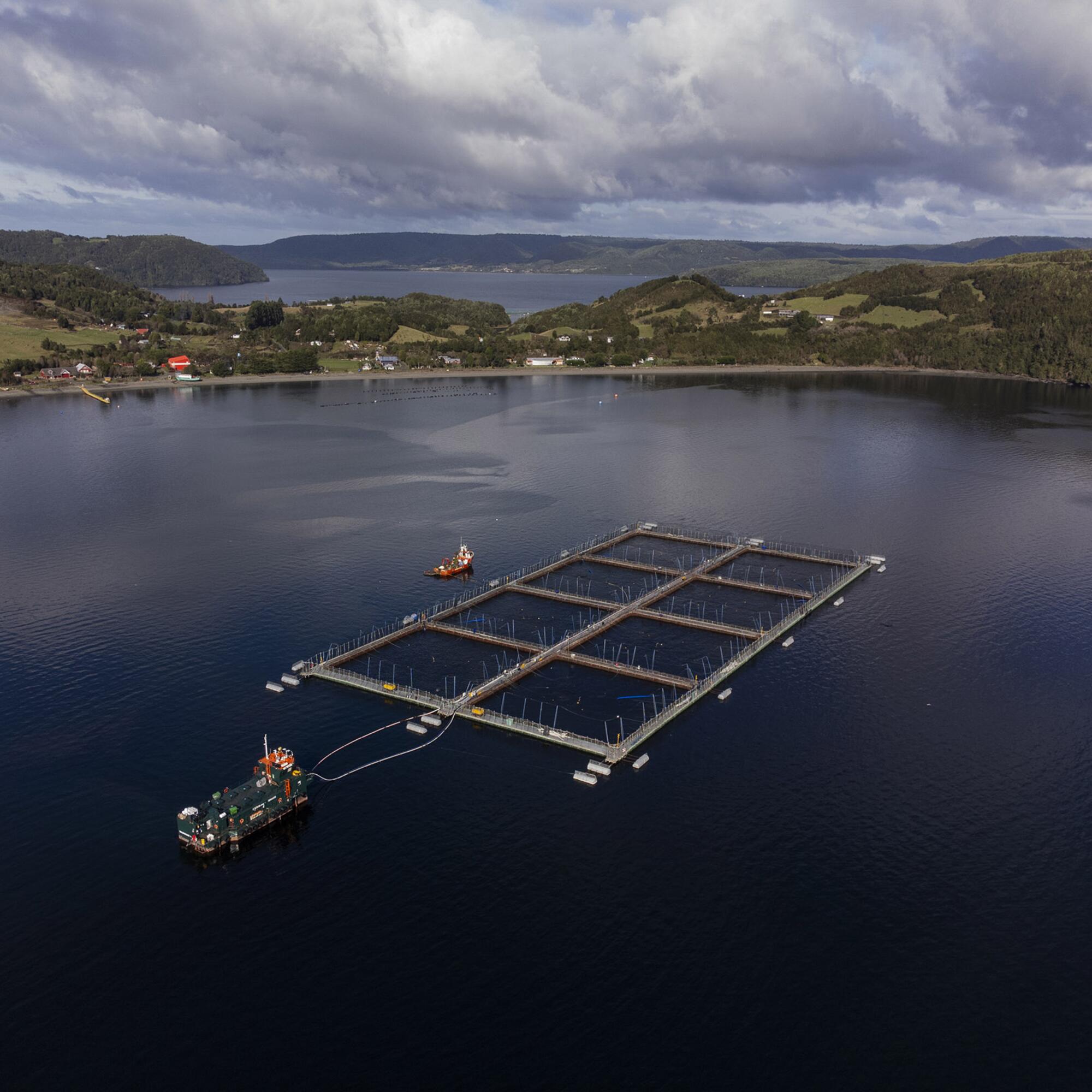 Salmoneras Chile  - 1