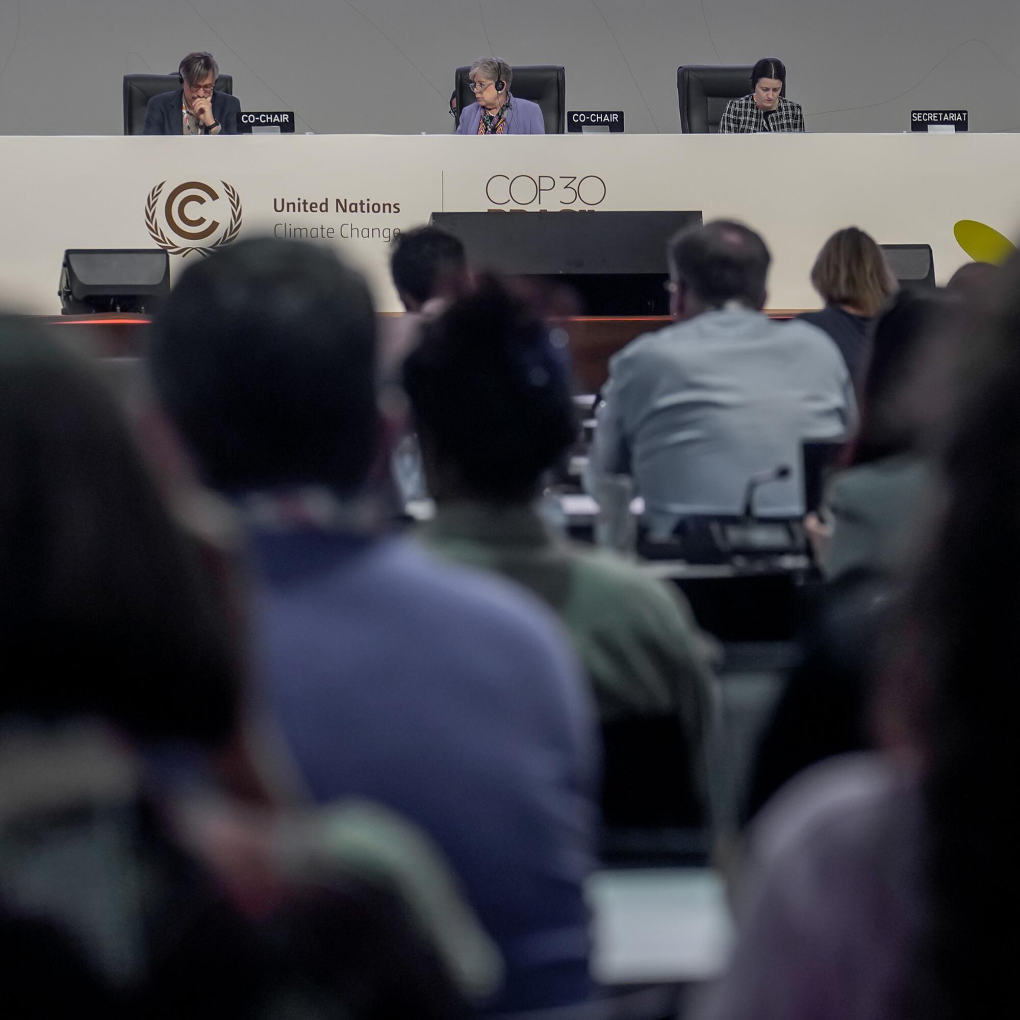 Plenario de la COP30