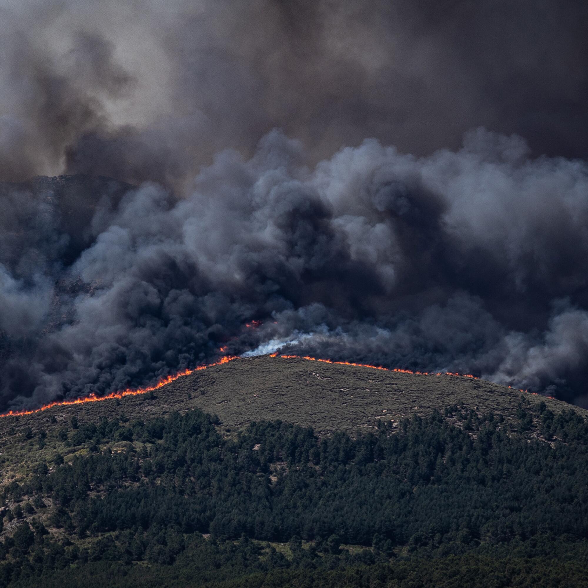 Incendio Ávila 24-07-26 - 2