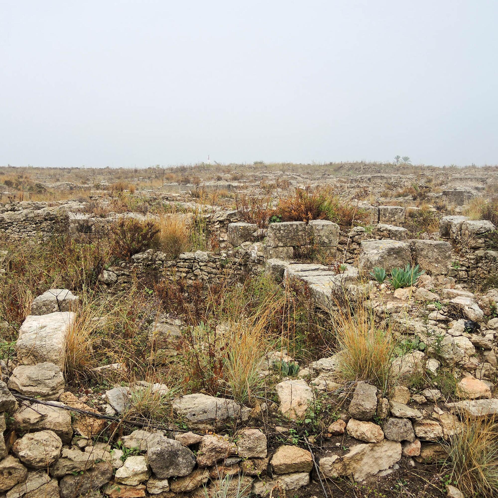 Siria Nuria Vila - 2