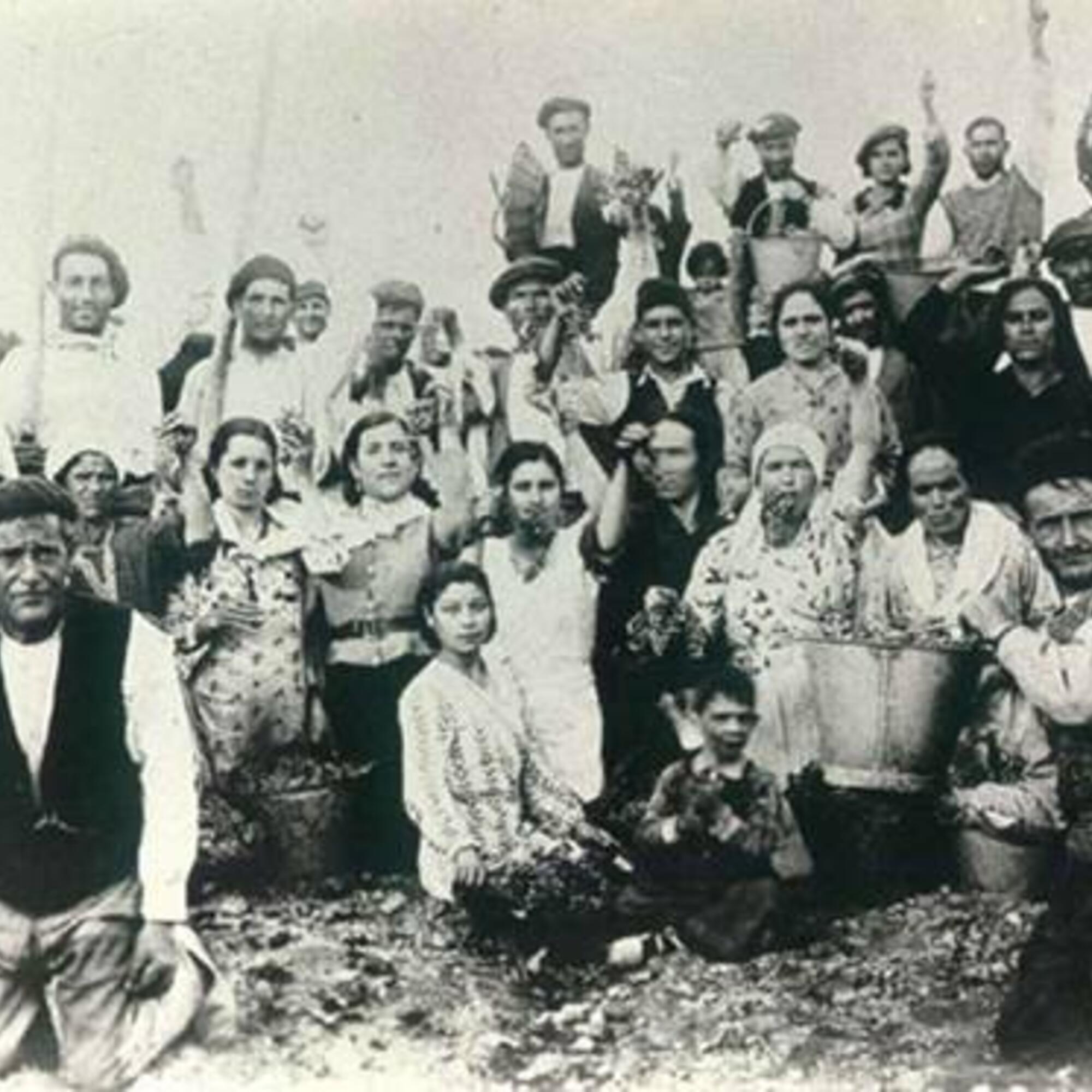 Colectividad Libre de Mas de las Matas (Teruel) en plena vendimia de 1936 o 1937 