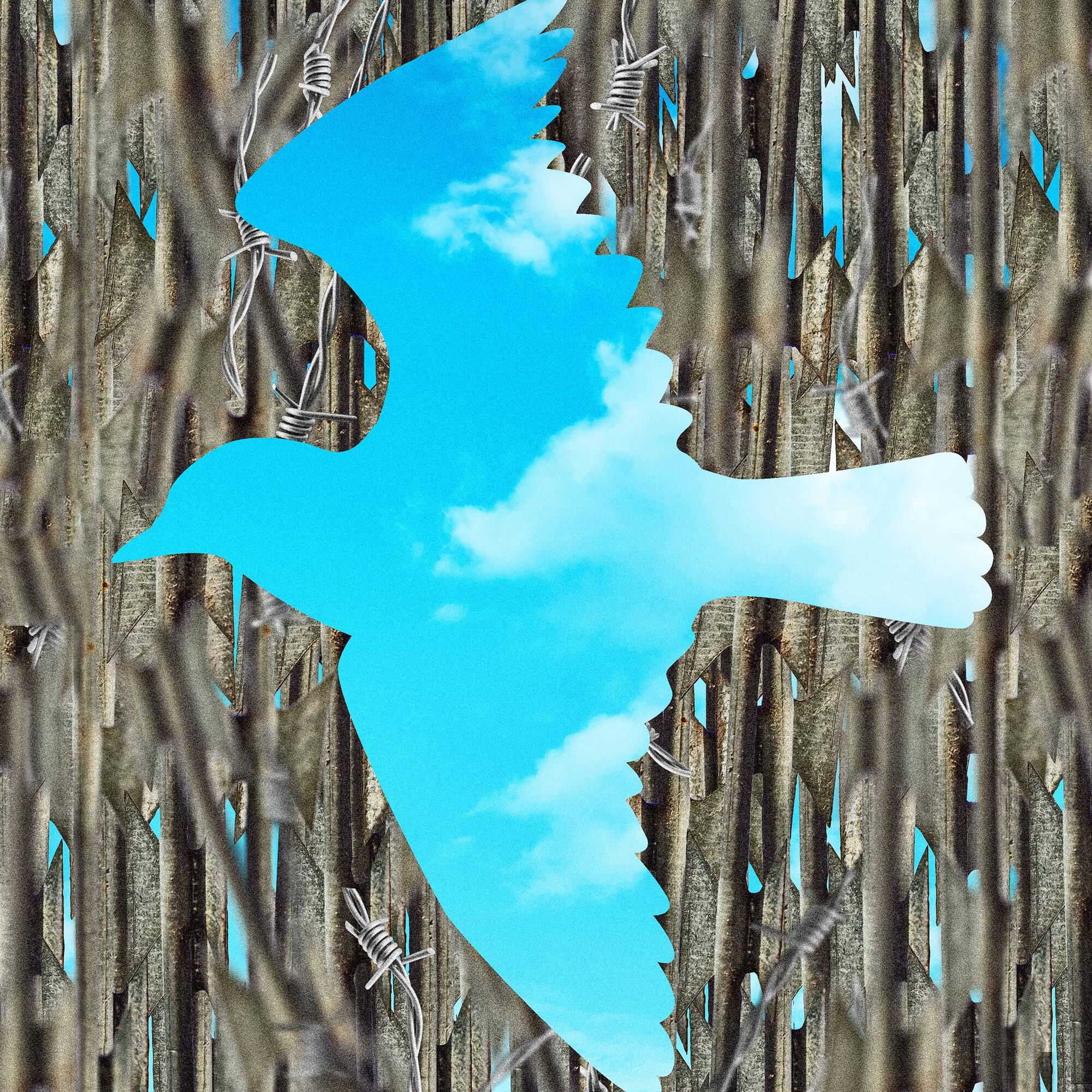 Panorama 81 fronteras migracion 03