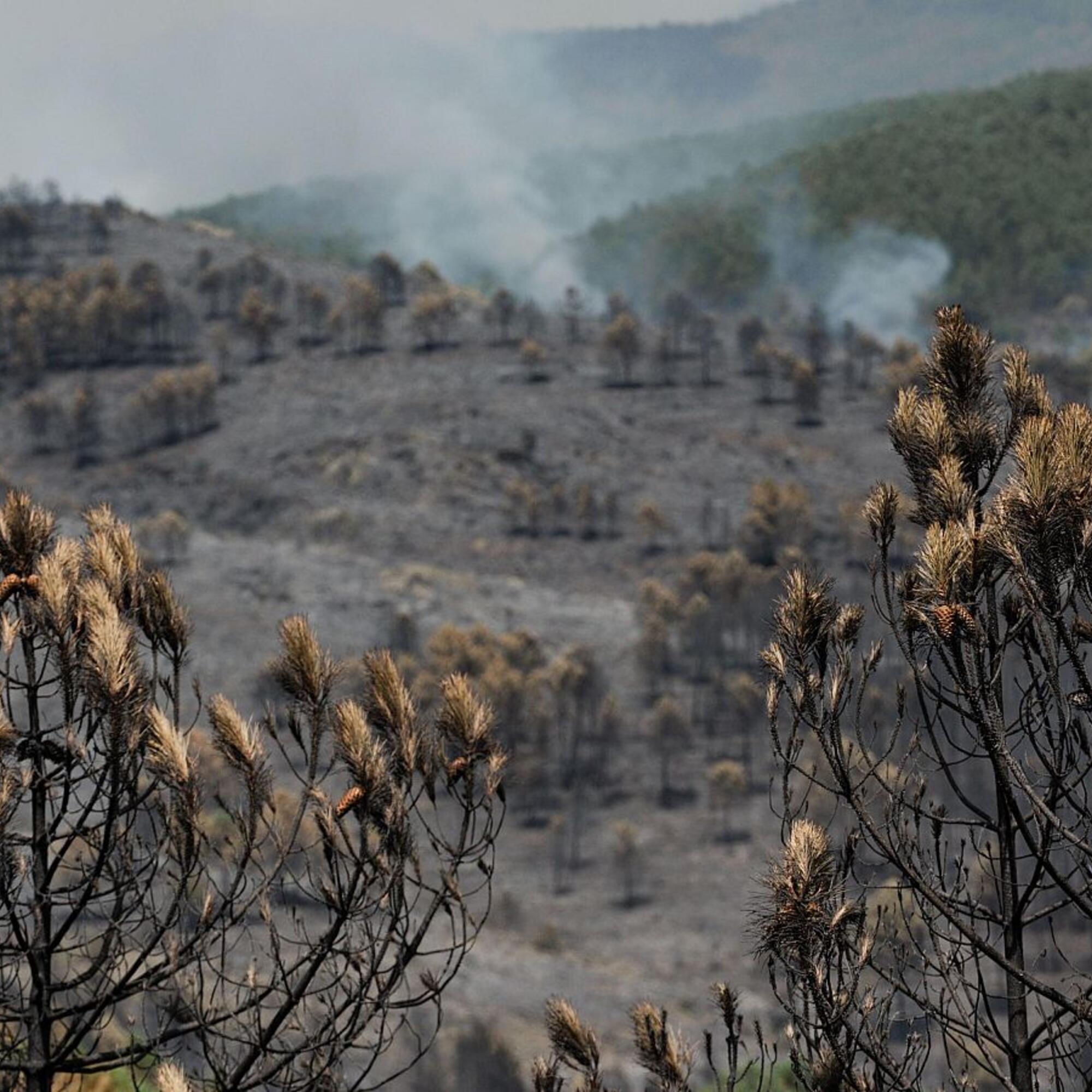Incendio Guadalajara foto RTVE