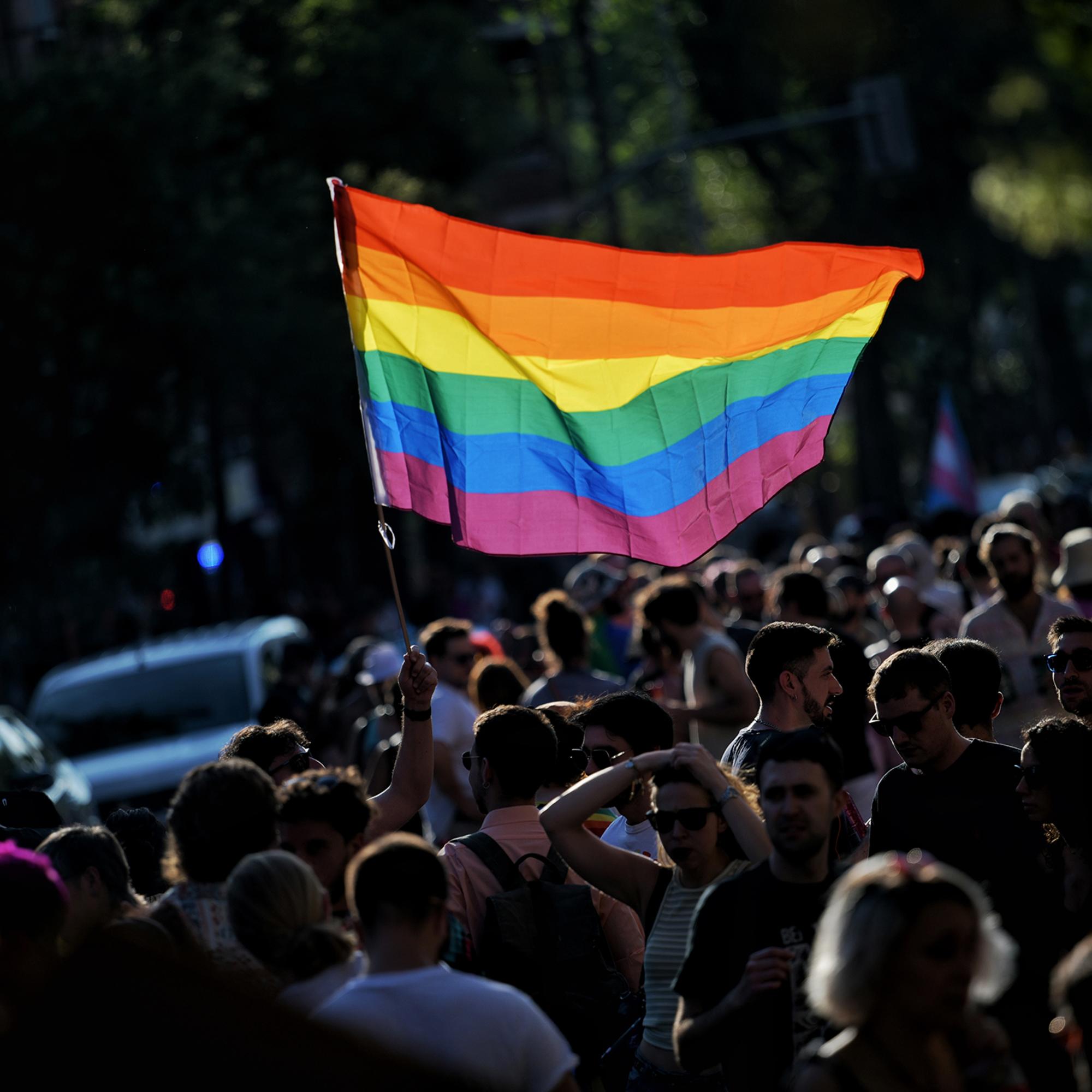 Orgullo crítico Vallecas - 4