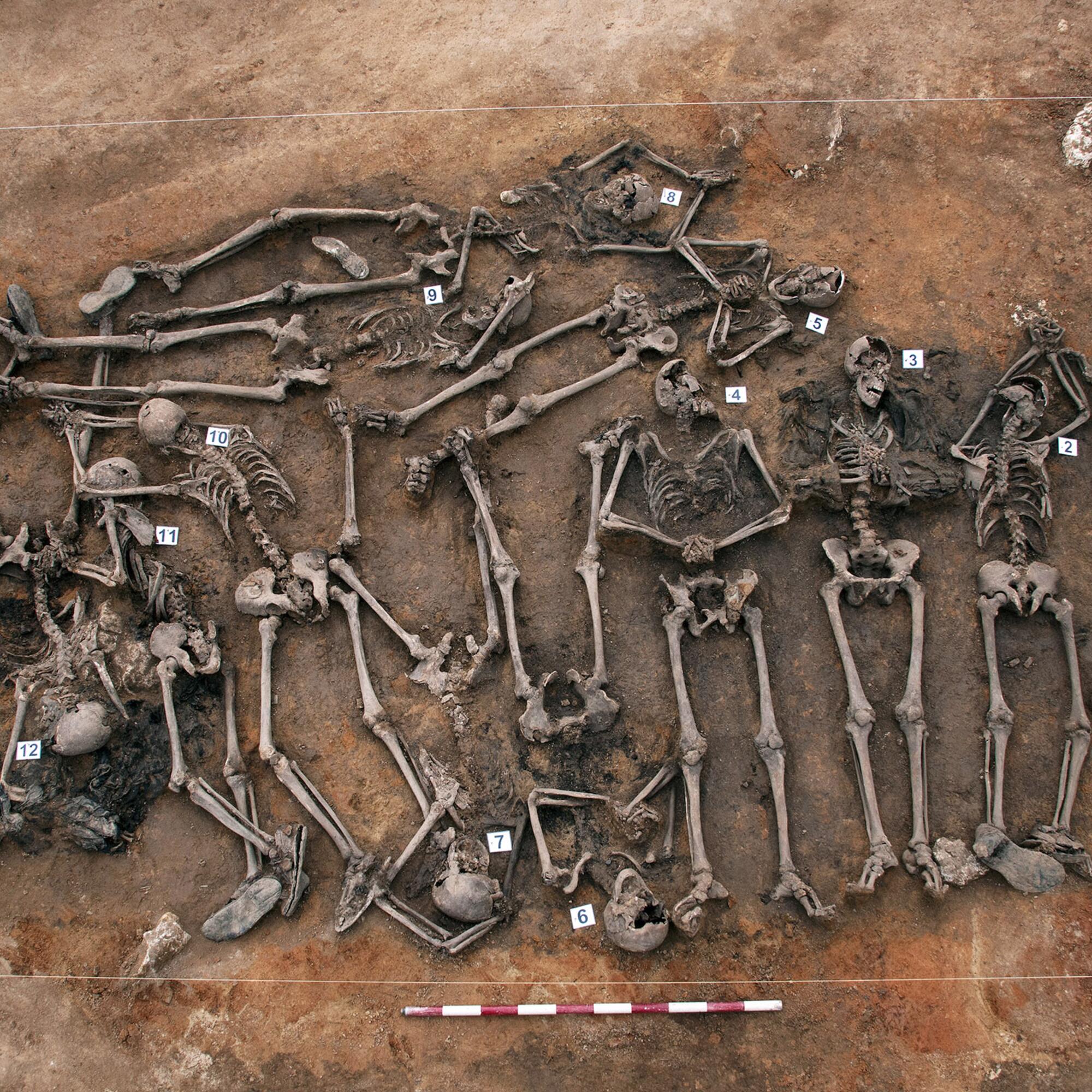 Fosa de la Mazorra exhumación Memoria