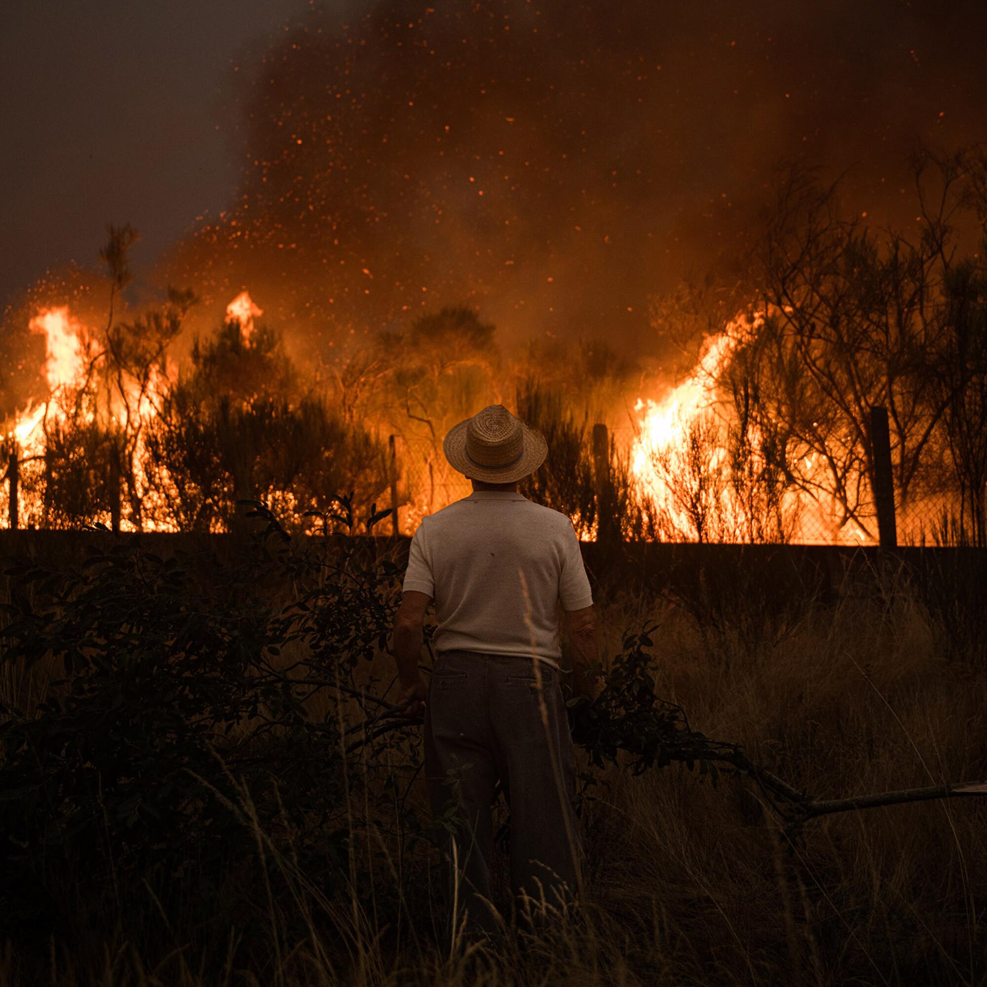 Incendio Cualedro Ourense - 17