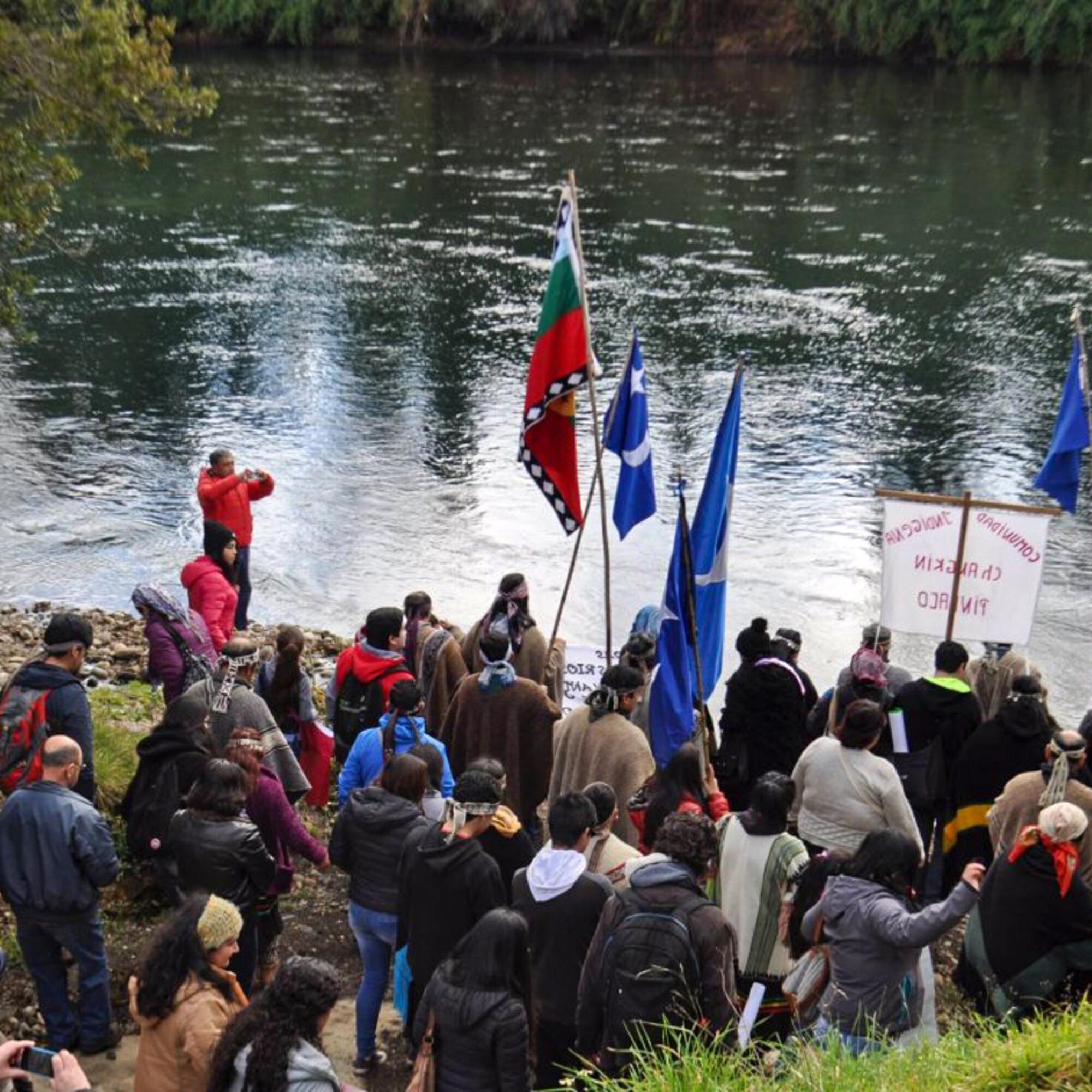 Marcha por la defensa de los ríos libres y de los territorios mapuche