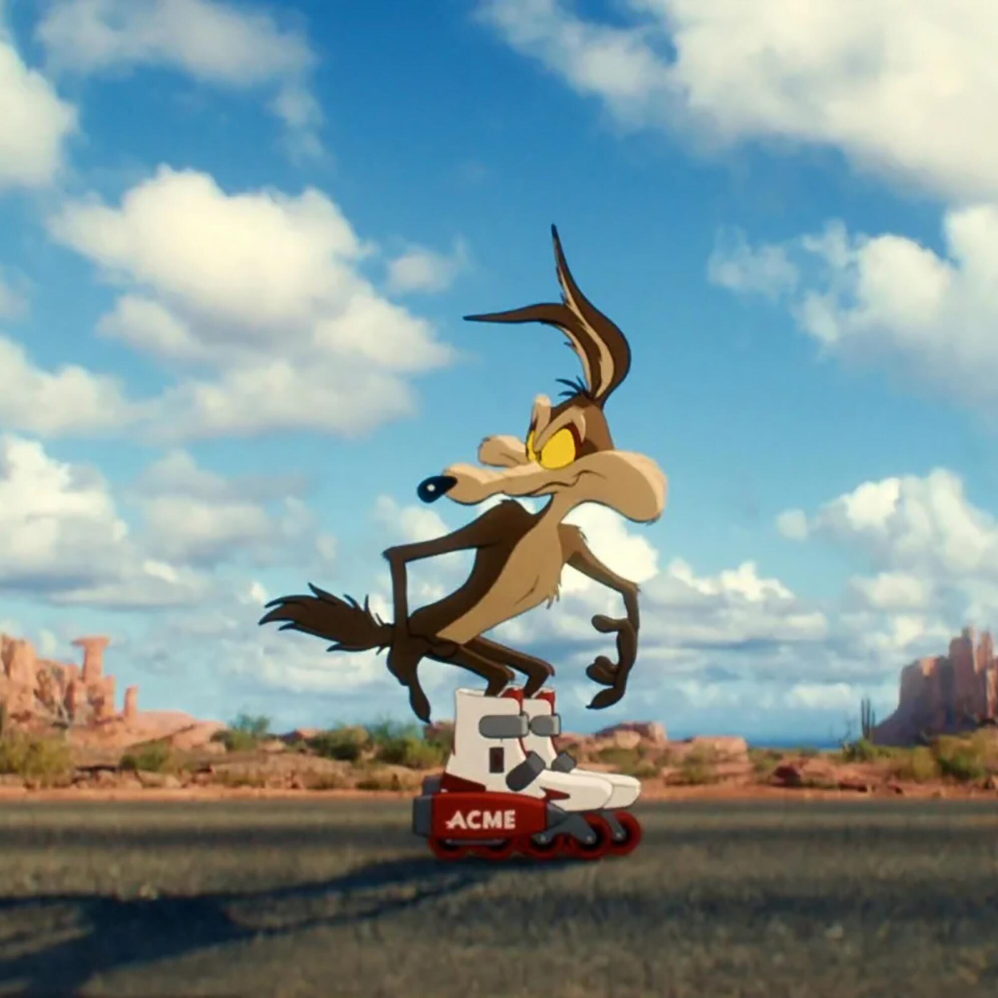 Coyote Vs ACME