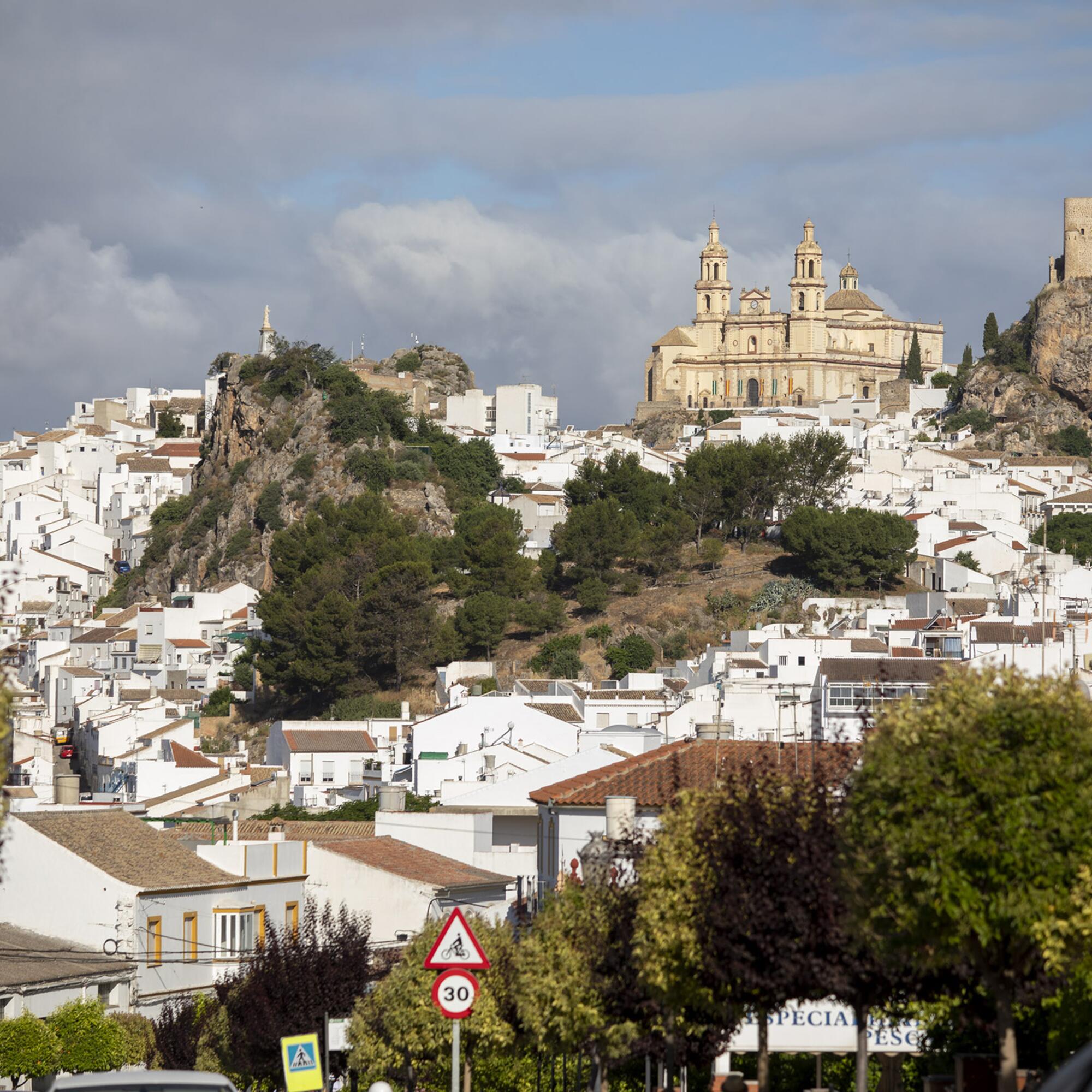 Olvera 1