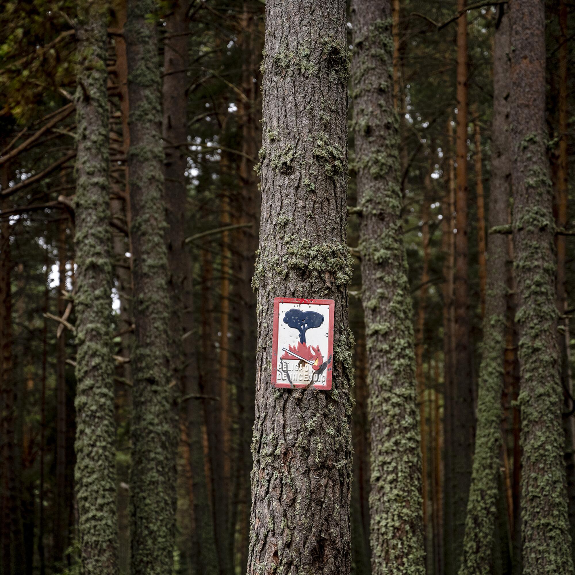 Cartel incendios