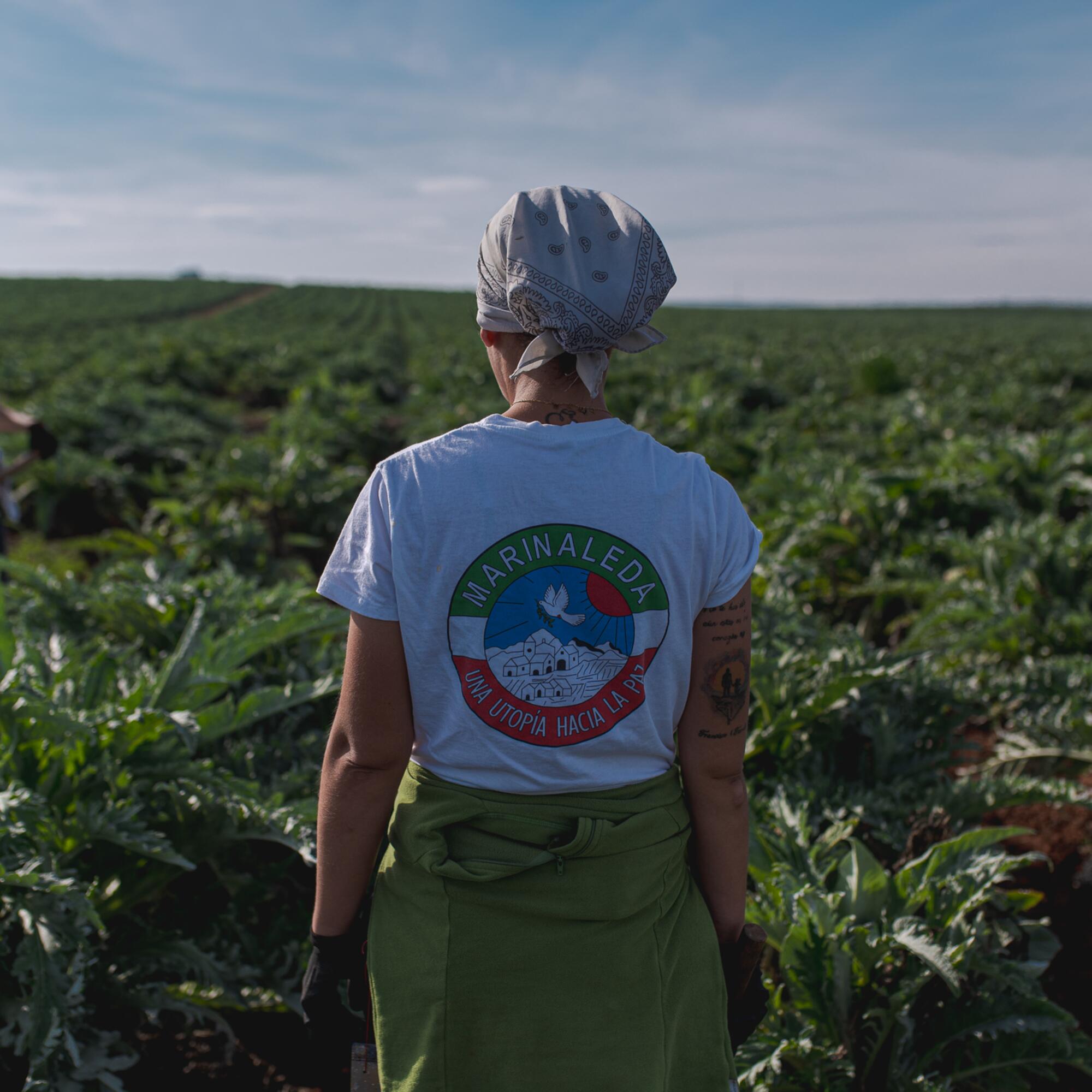 Marinaleda El Humoso 24 - 6