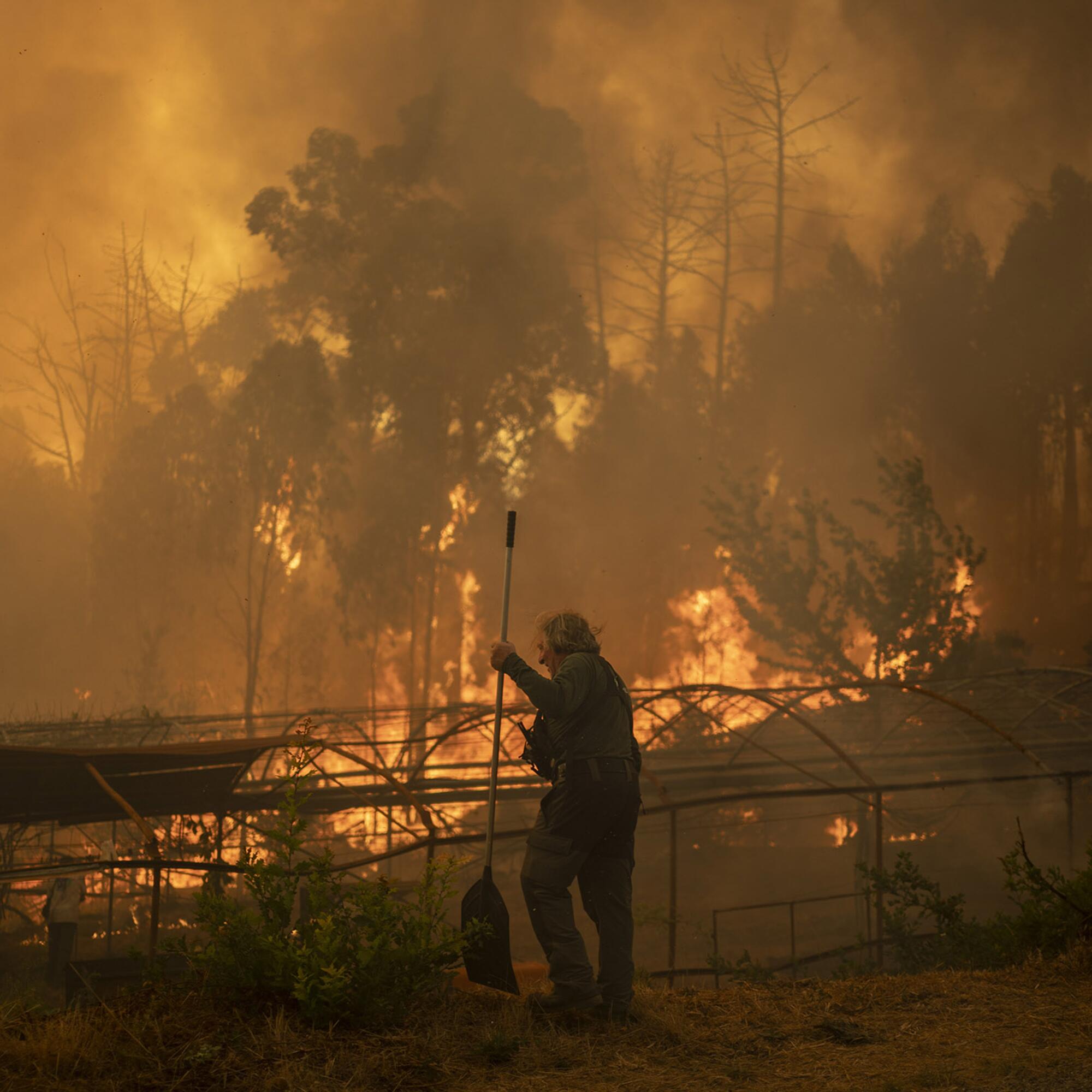Incendio Carballeda de Avia Ourense