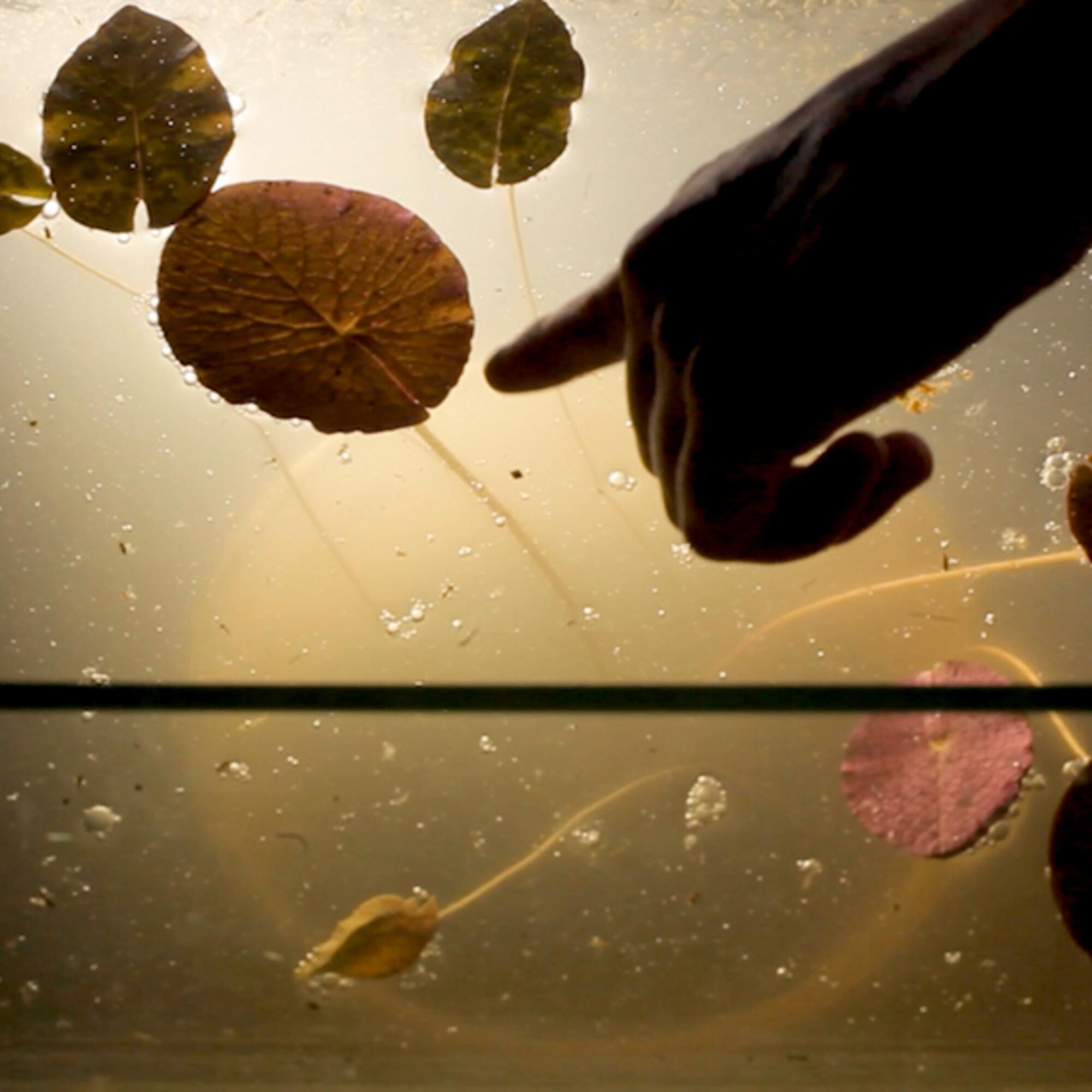 Fotograma del documental ‘Yrupé’, dirigido por Candela Sotos