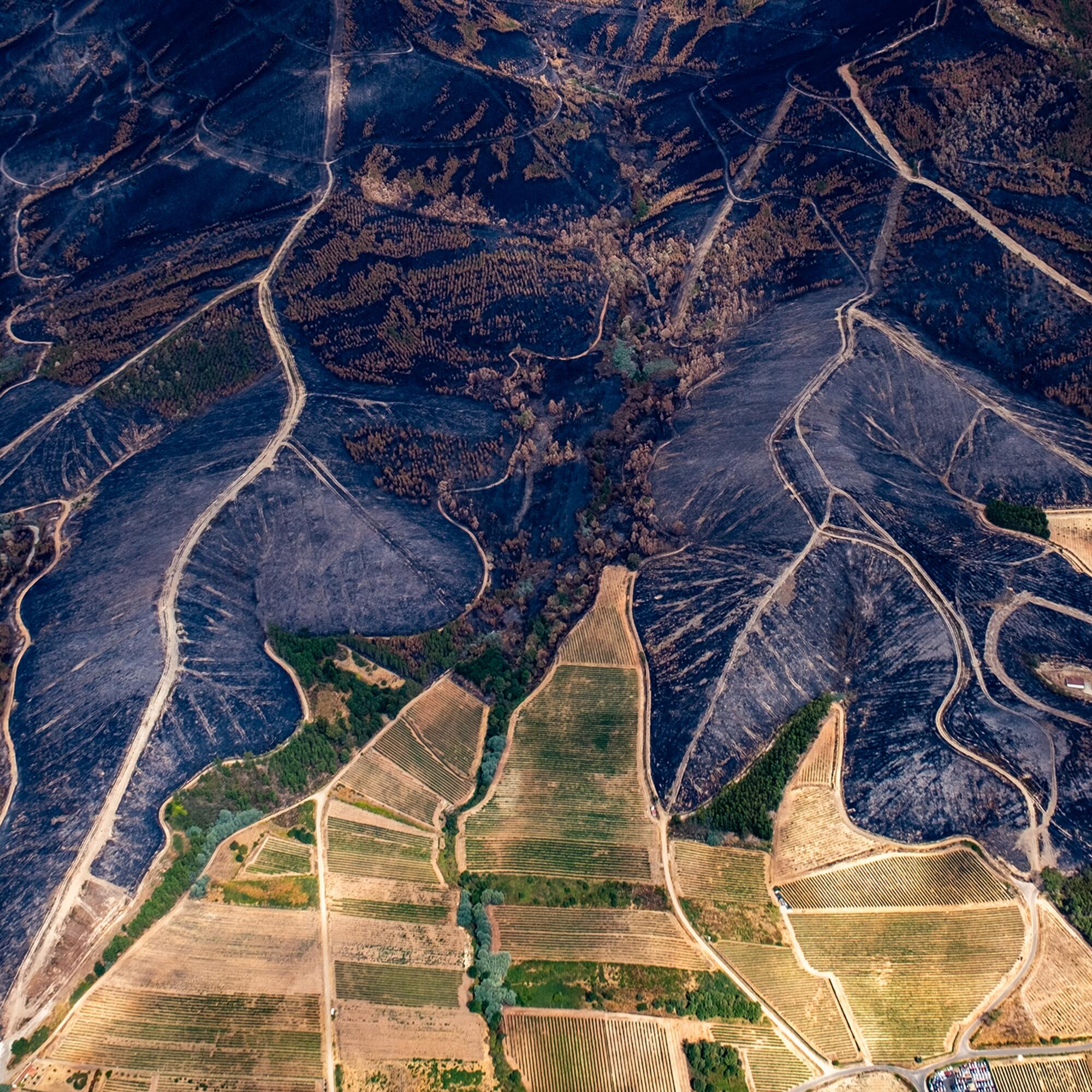 Incendios Greenpeace aereas - 13