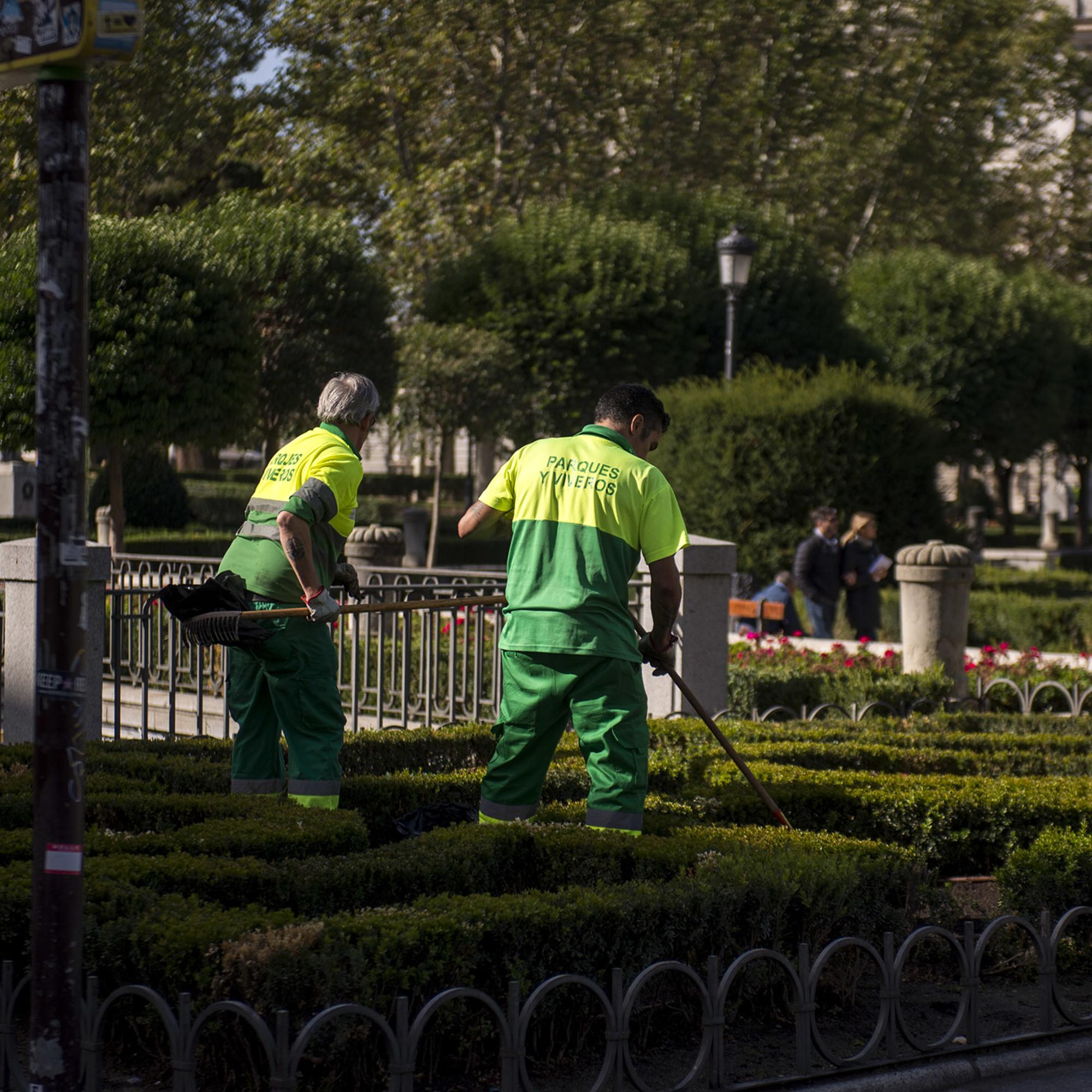 Jardineros frente al Palacio Real en Madrid