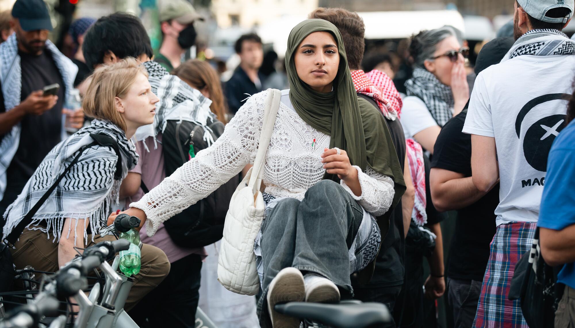 Homboldt Propalestina - 13