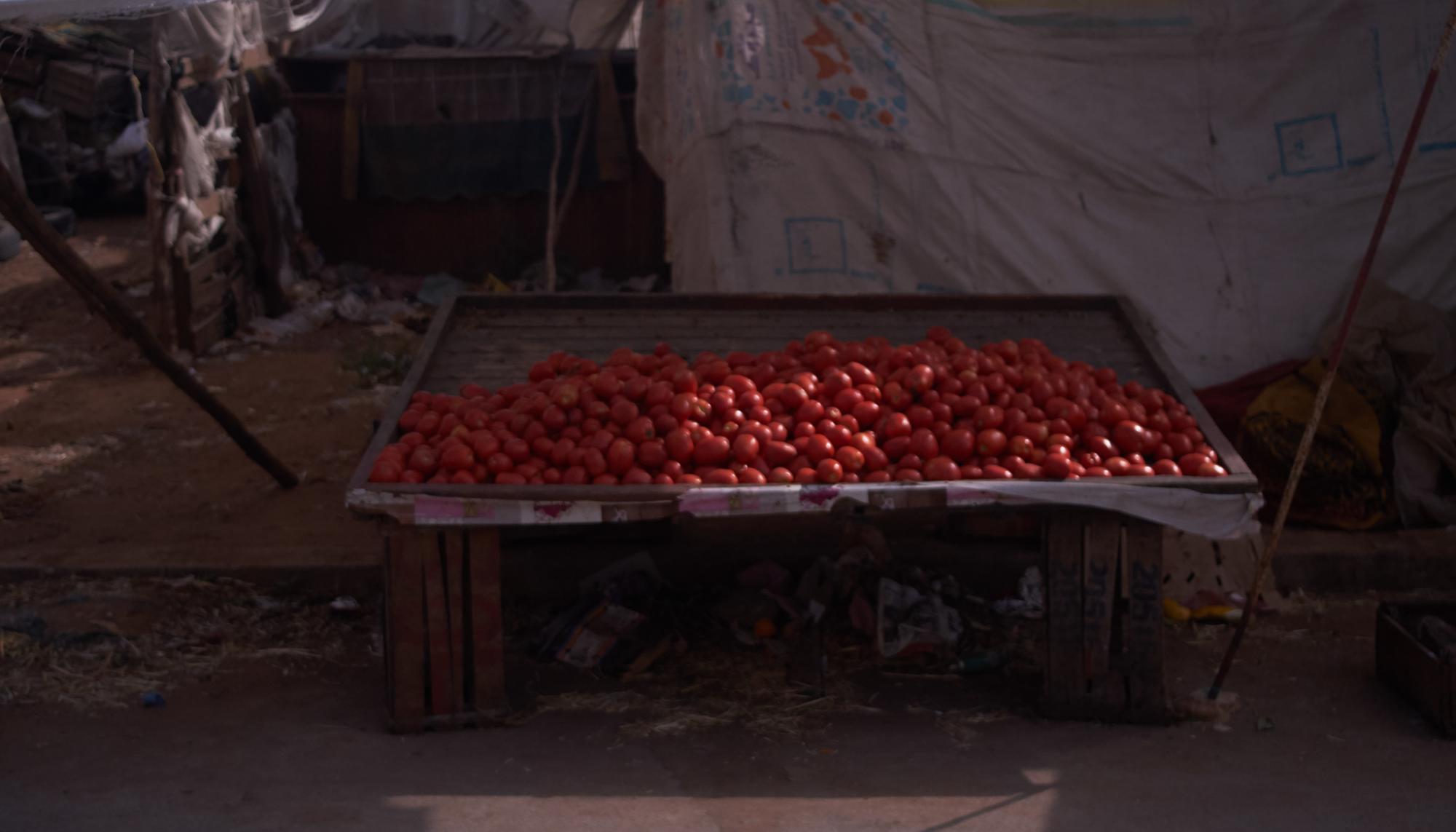 Puesto tomates mercado kenitra