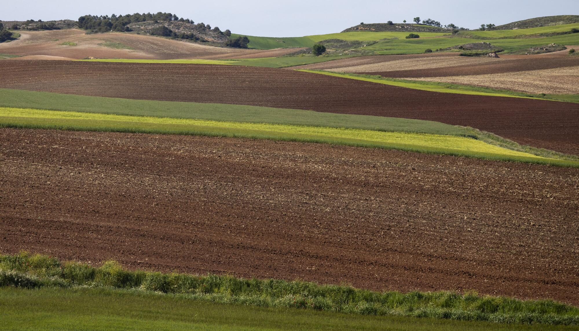 Varios autovía A3 - 5 Campos cultivo