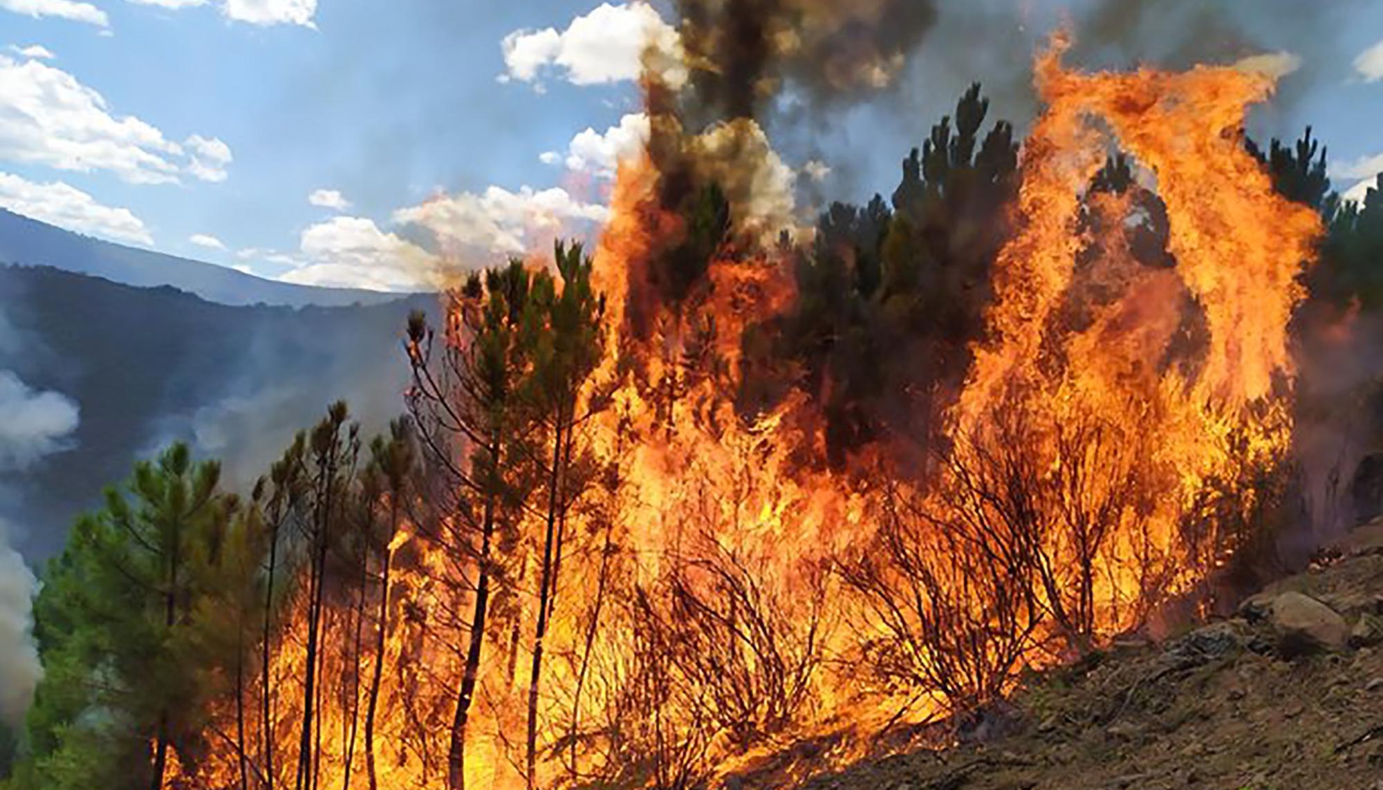 Incendios Extremadura - 4