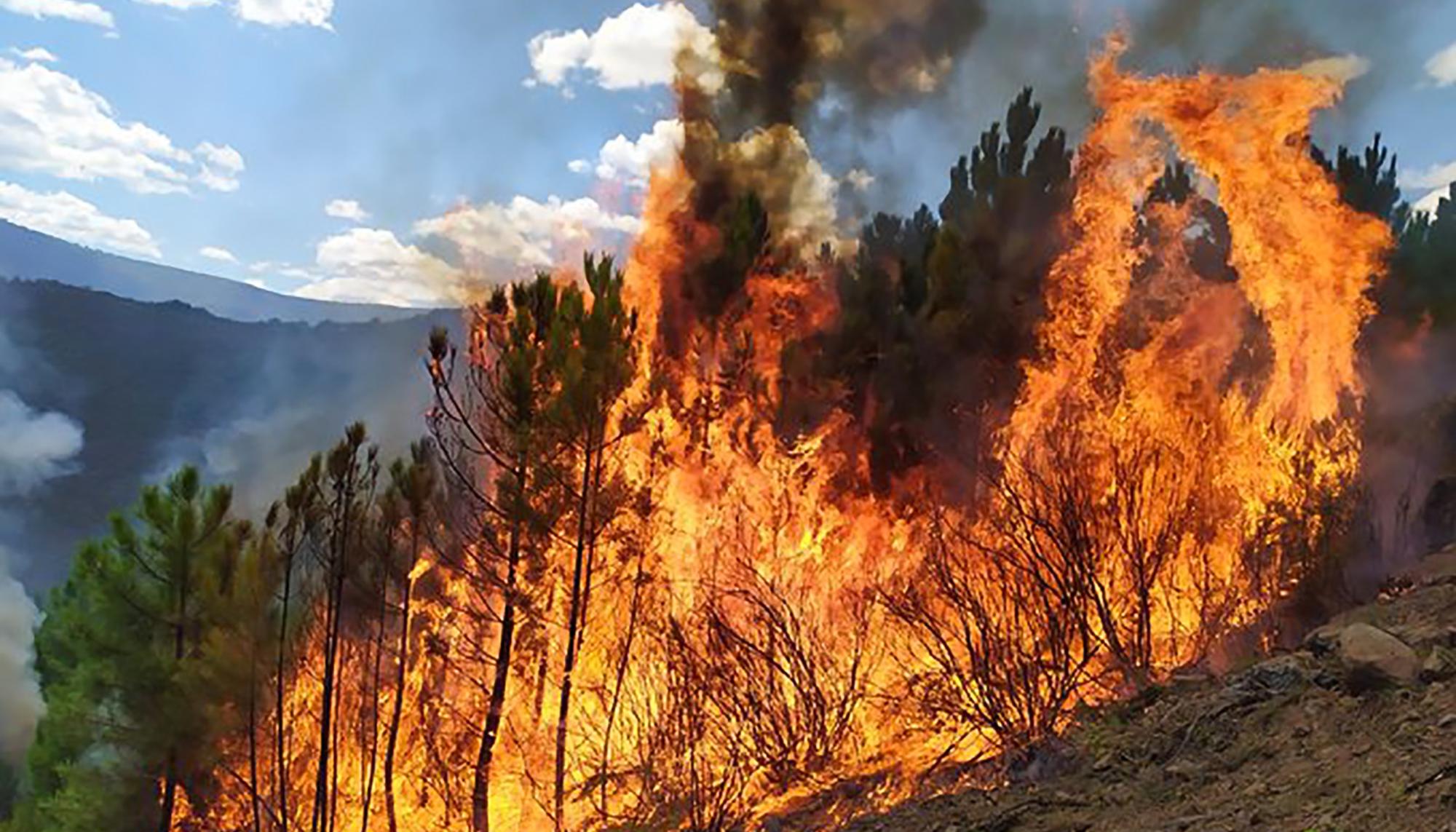 Incendios Extremadura - 4